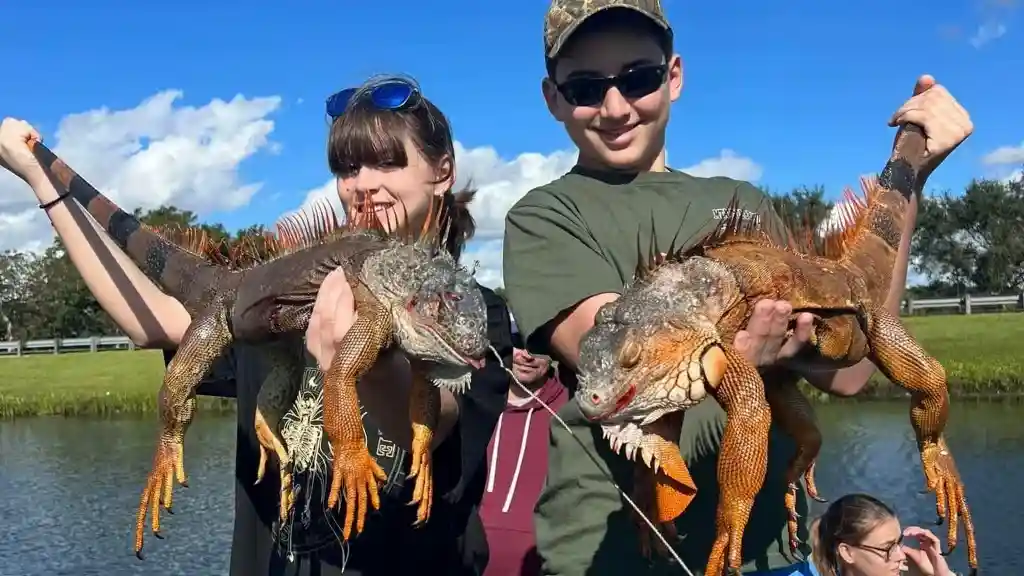 Small and Big Game Hunts Available