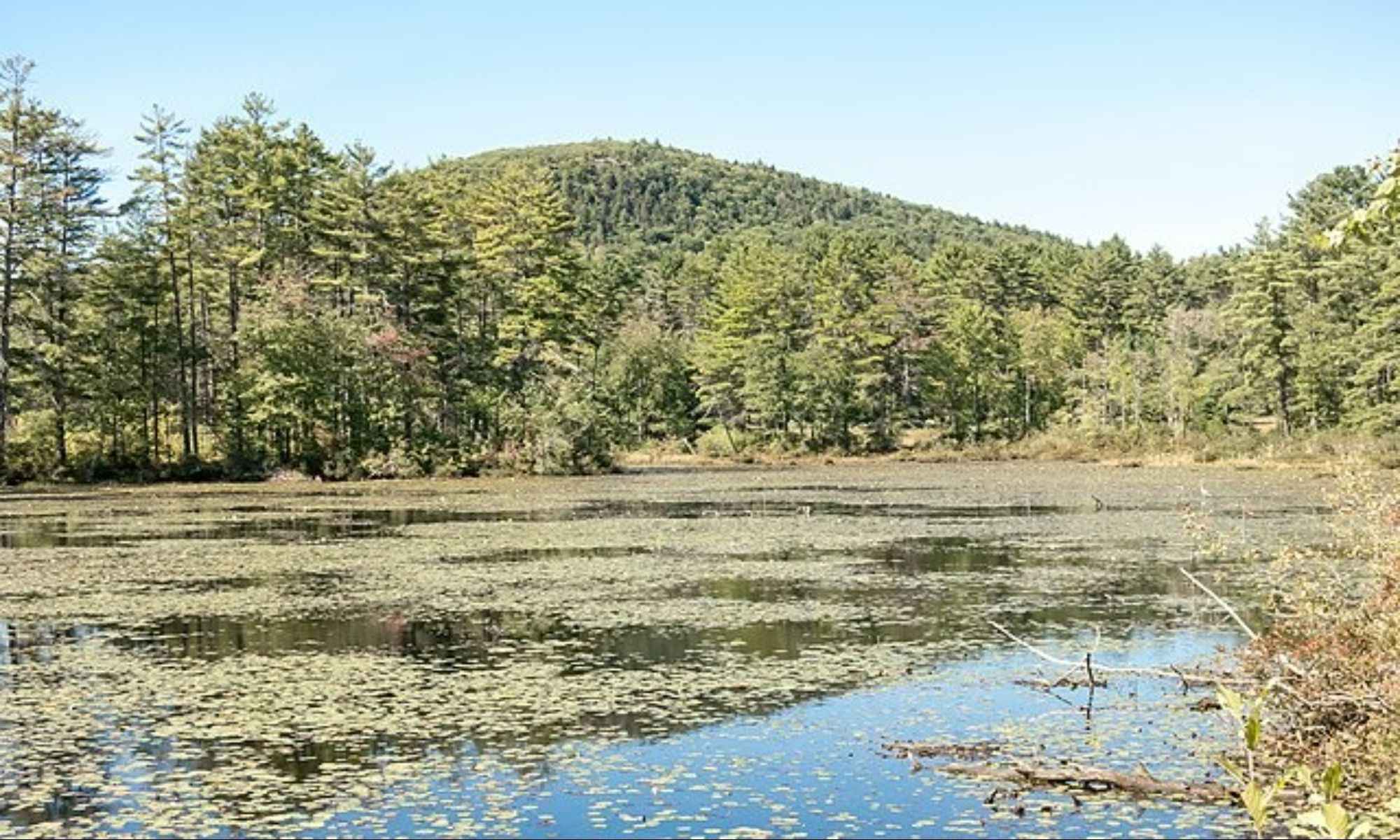 Book Your Fishing Charter in Orange, MA