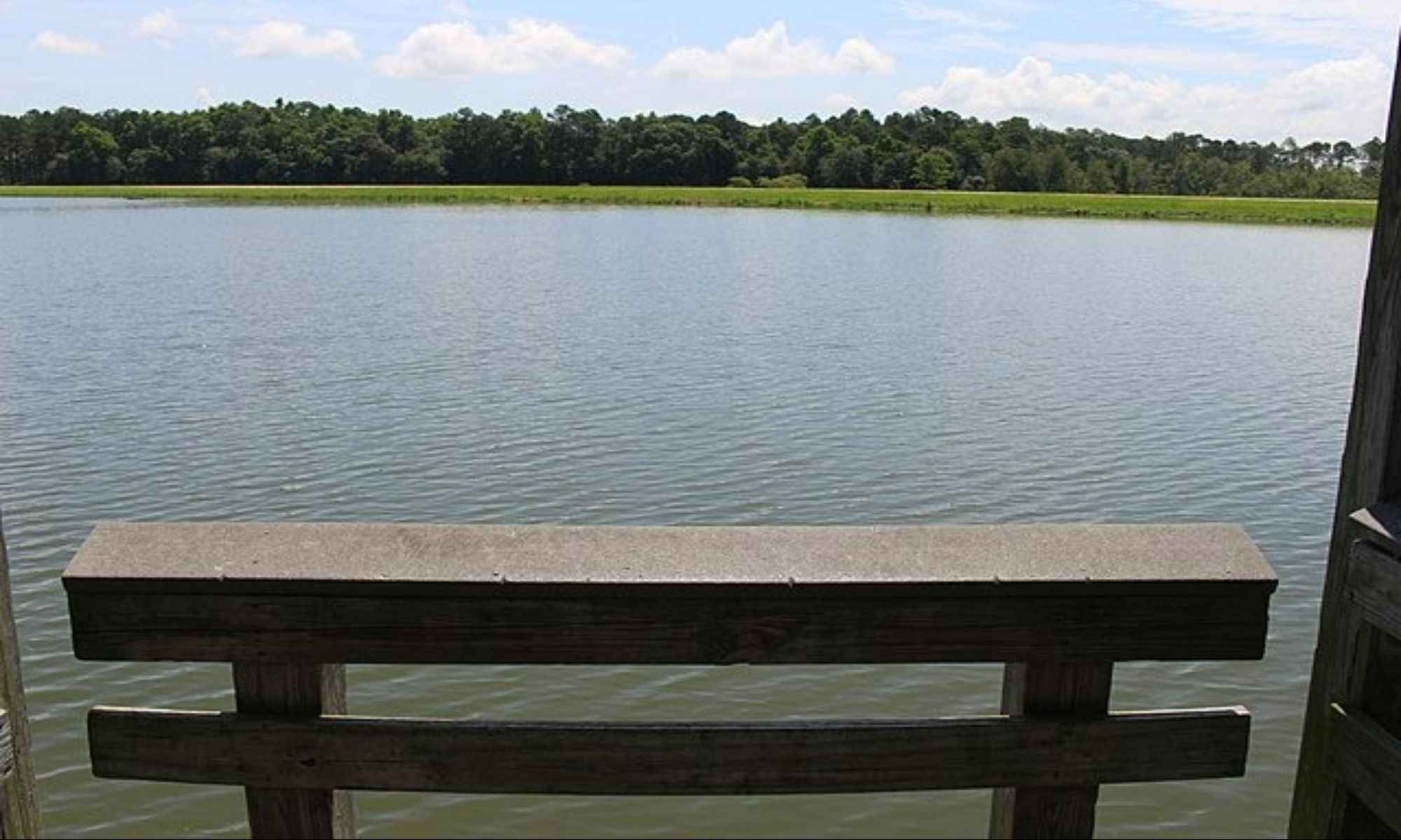 Book Your Fishing Charter in Alapaha, GA