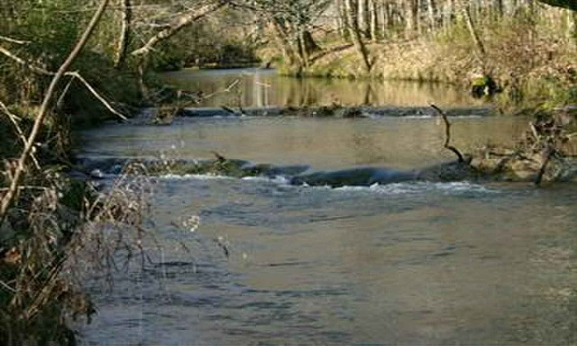 Alabaster, AL Fishing: Fantastic Freshwater Fishing South of Birmingham