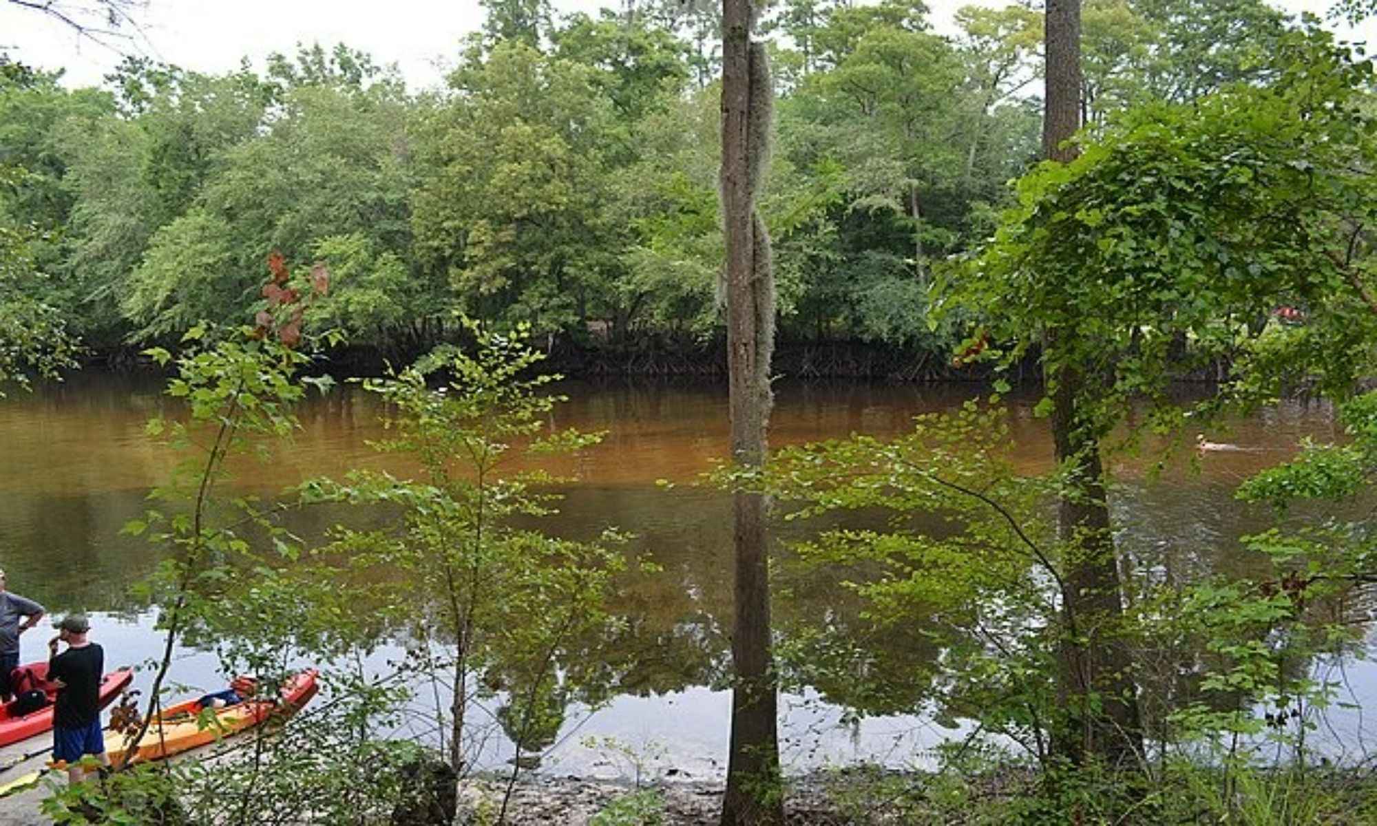 Bamberg, SC Fishing: Wholesome Community Fishing