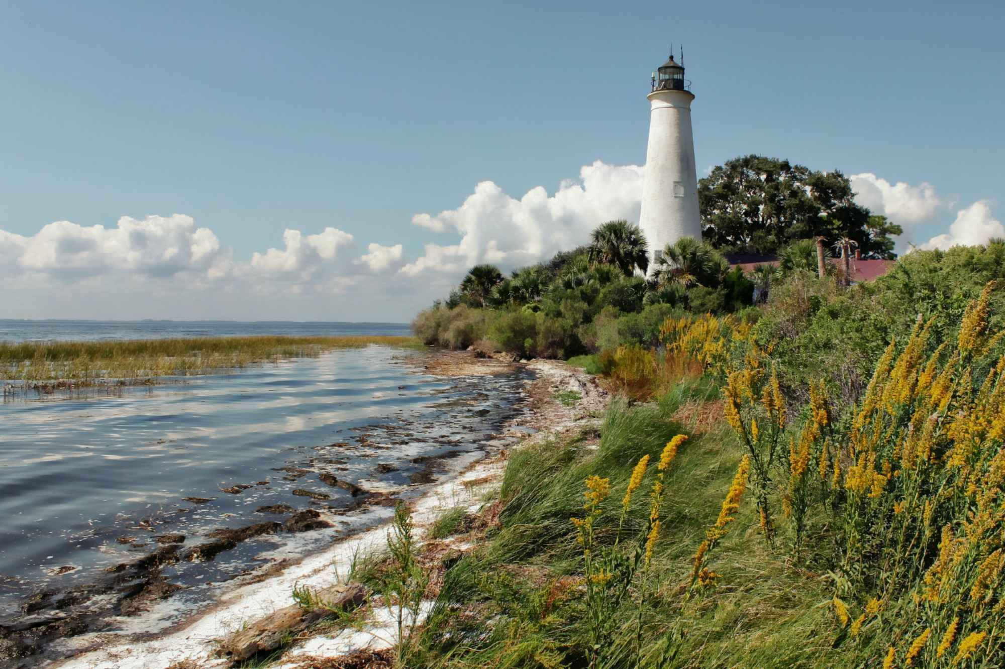 Learn about St. Marks, FL Fishing
