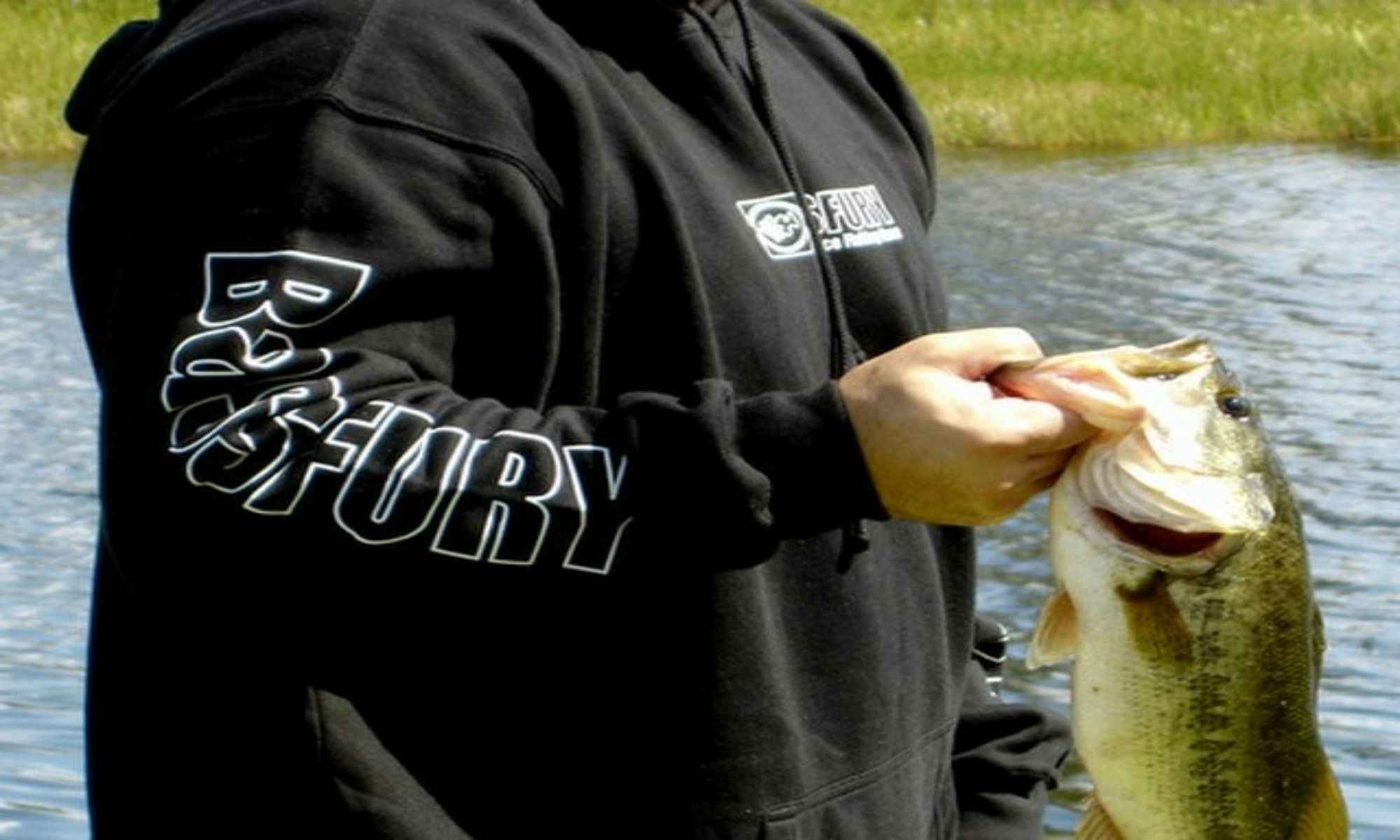 Ways to Catch Bass in Thick Grass