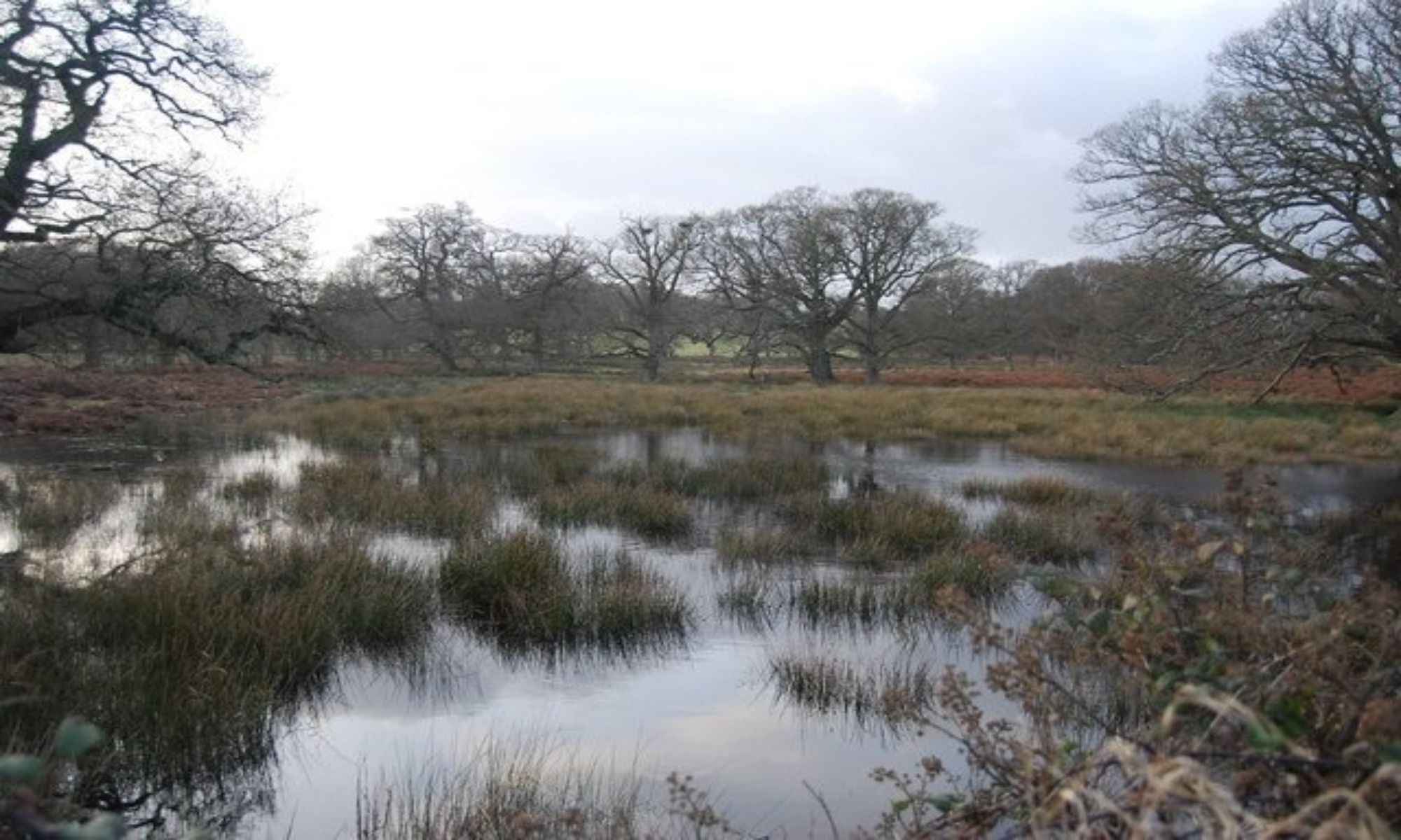 Book Your Fishing Charter in Bunkie, LA