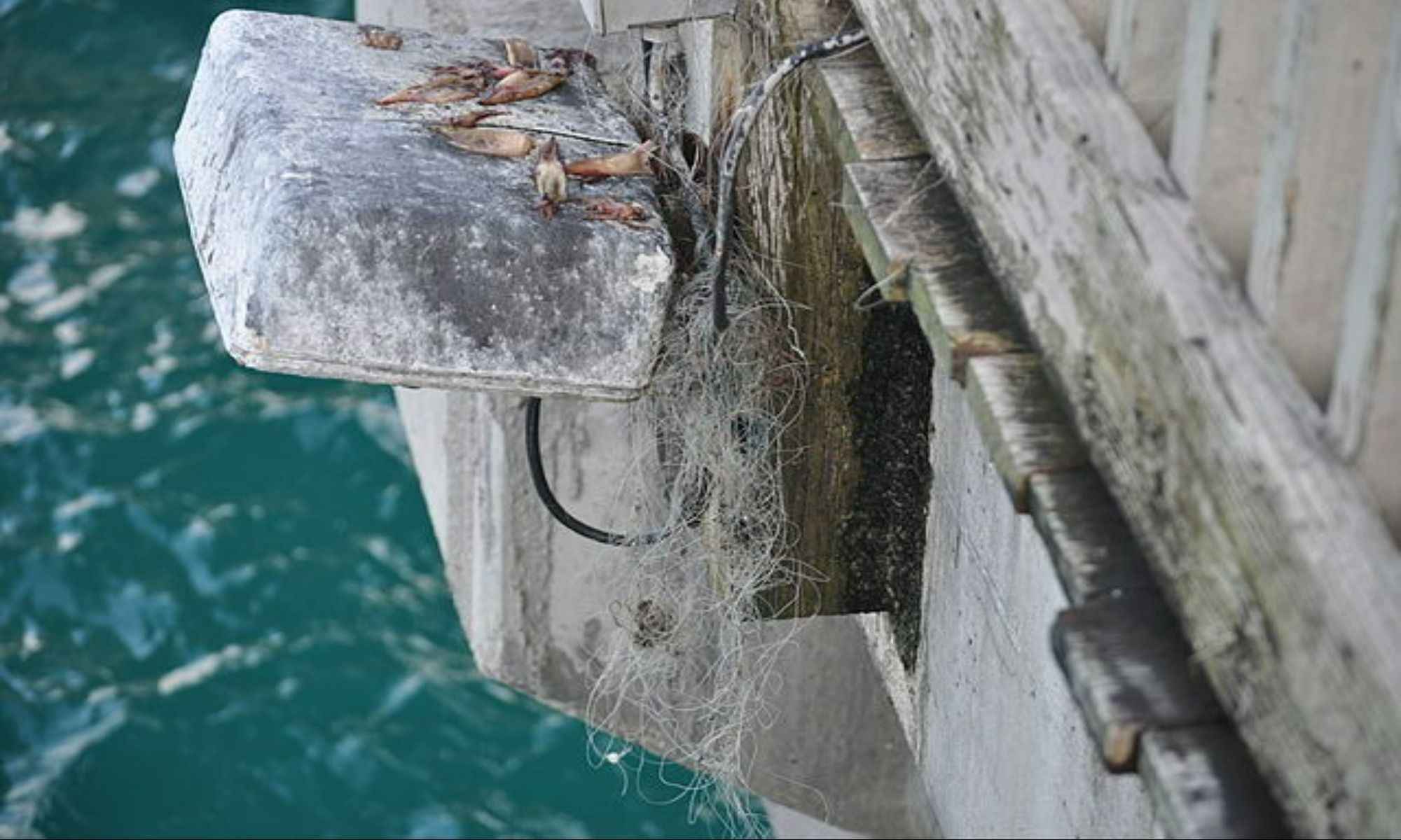 How to Avoid Tangles When Fishing