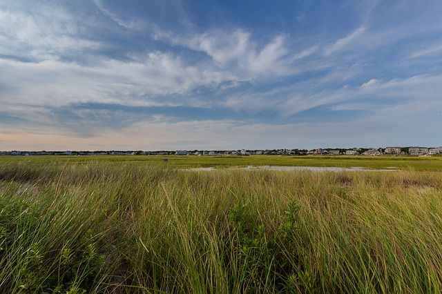 Book Your Fishing Charter in Chatham, MA