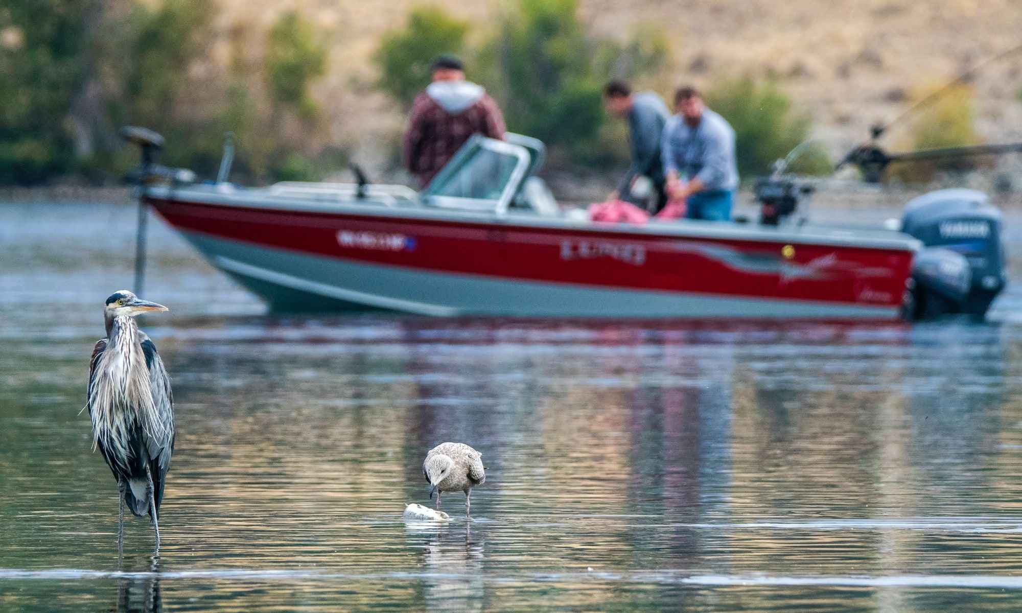 Mid-day Fishing: Why You Should Do It