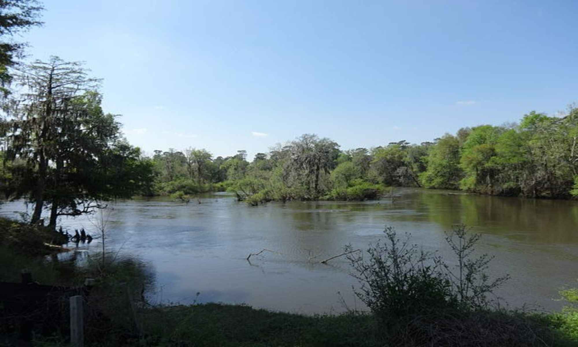 Book Your Fishing Charter in Albany, GA