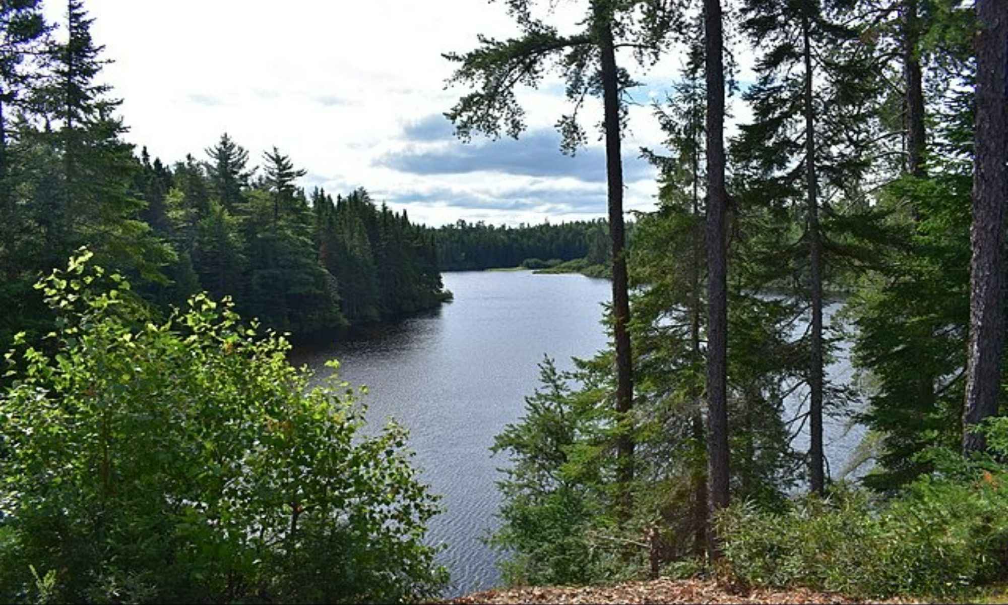 Book Your Fishing Charter Ashford, AL