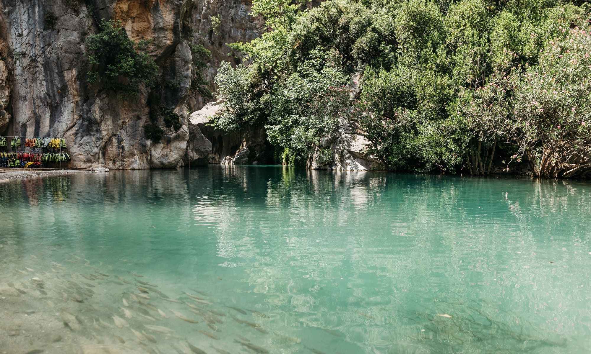 Book Your Fishing Charter in Steinhatchee, FL