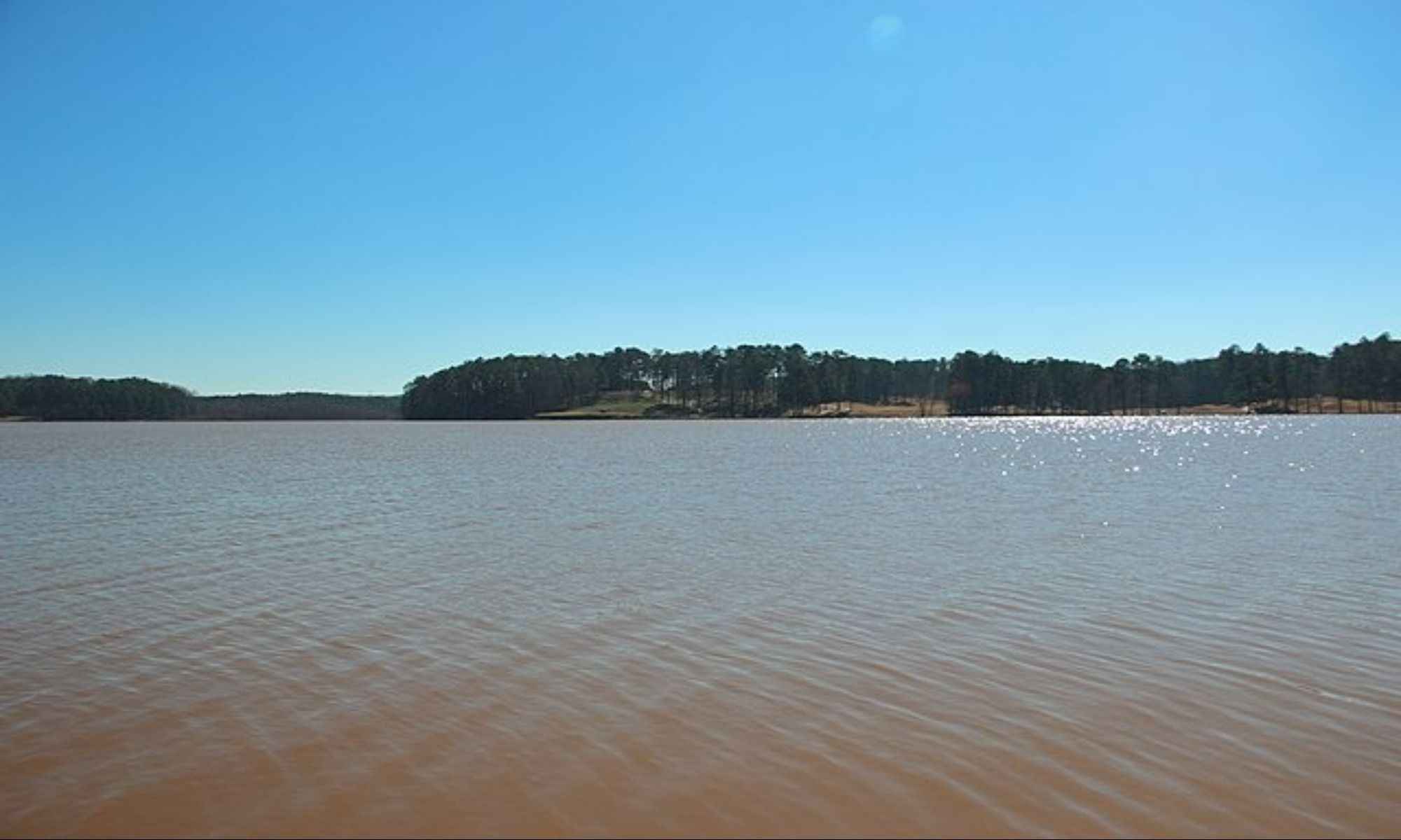 Book Your Fishing Charter in Acworth, GA