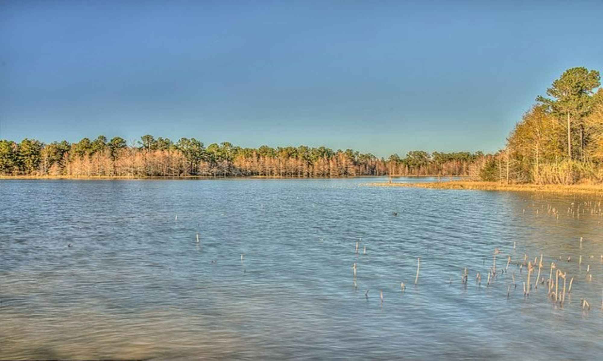 Book Your Fishing Charter in Abbeville, AL