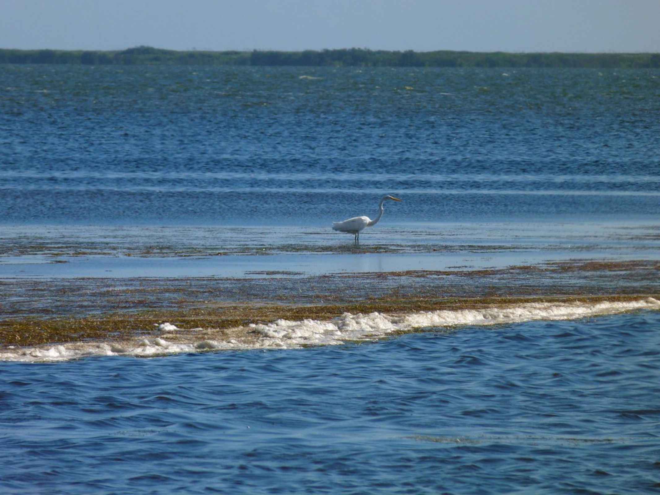 Edgewater, FL Fishing: Year-Round Tranquil Fishing in Central Florida