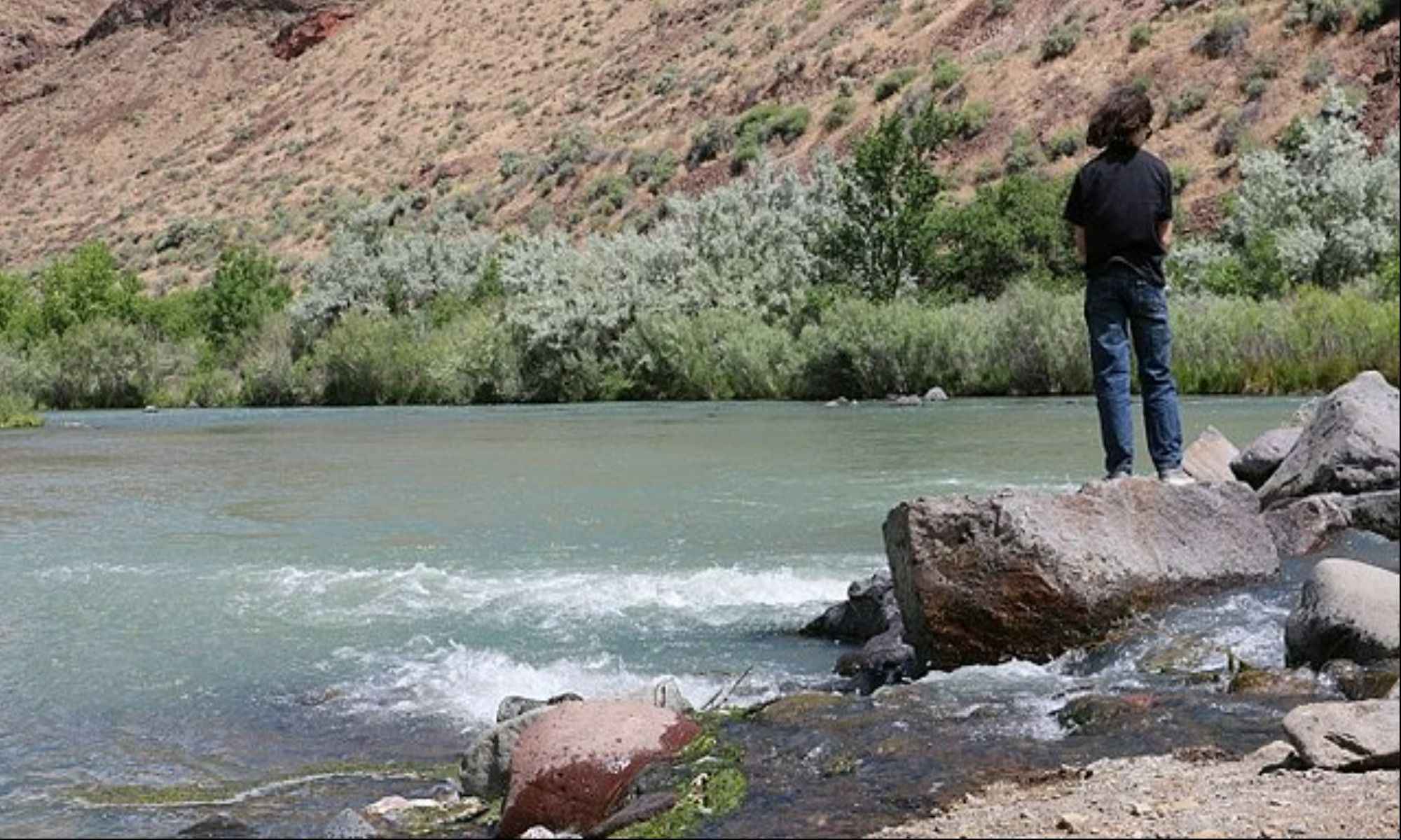 How Fishing Helps Fight Depression