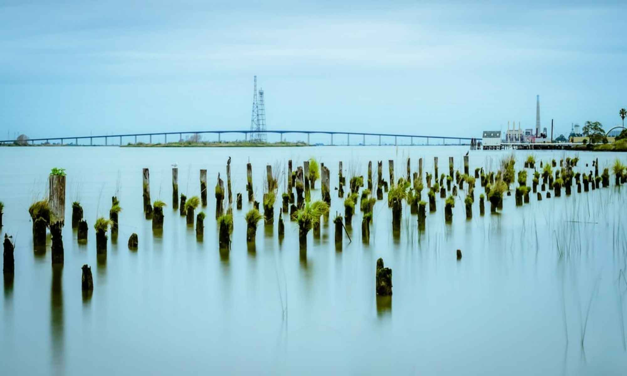 Book Your Fishing Charter in Antioch, CA