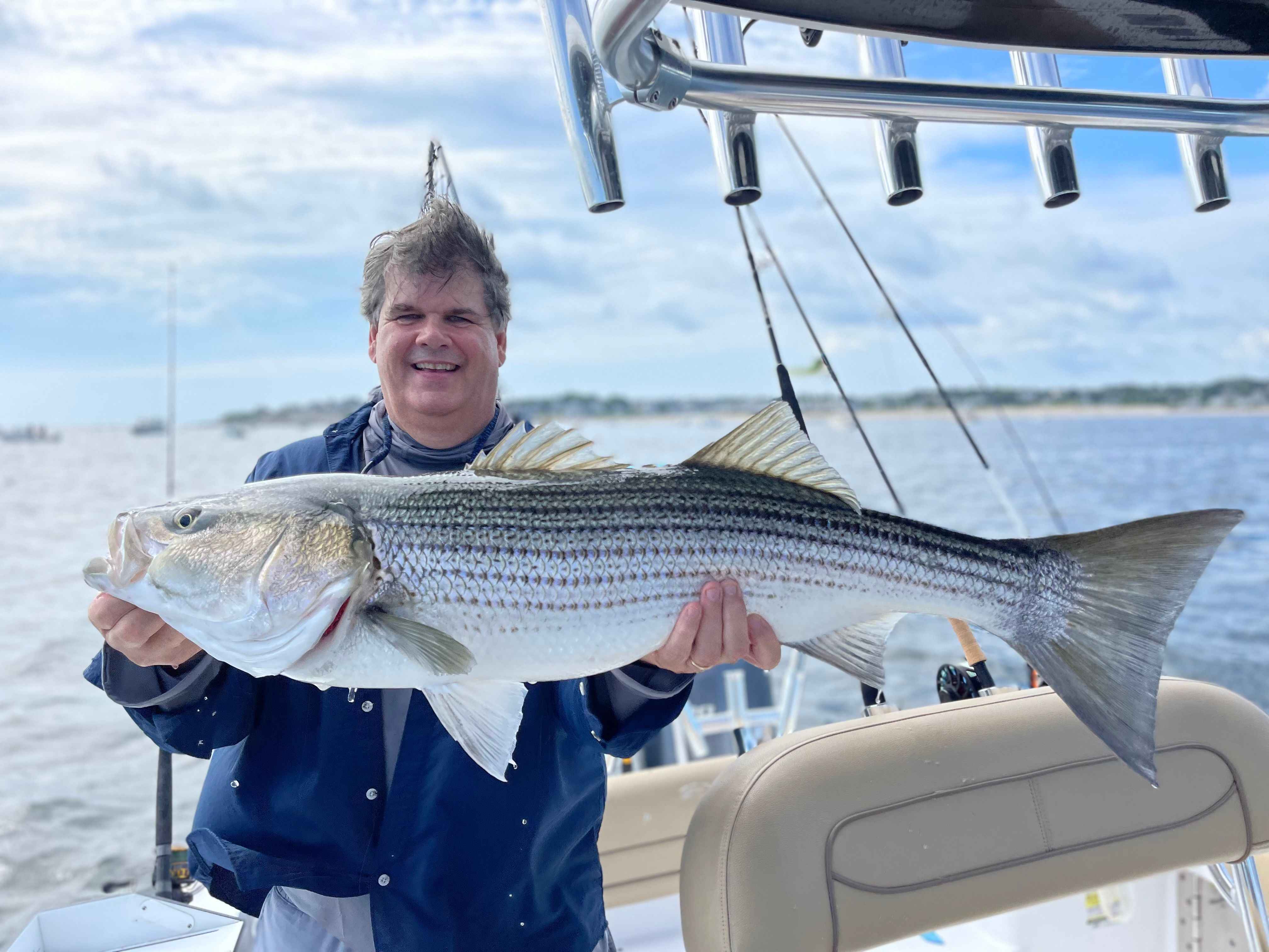 Best Bait for Striped Bass