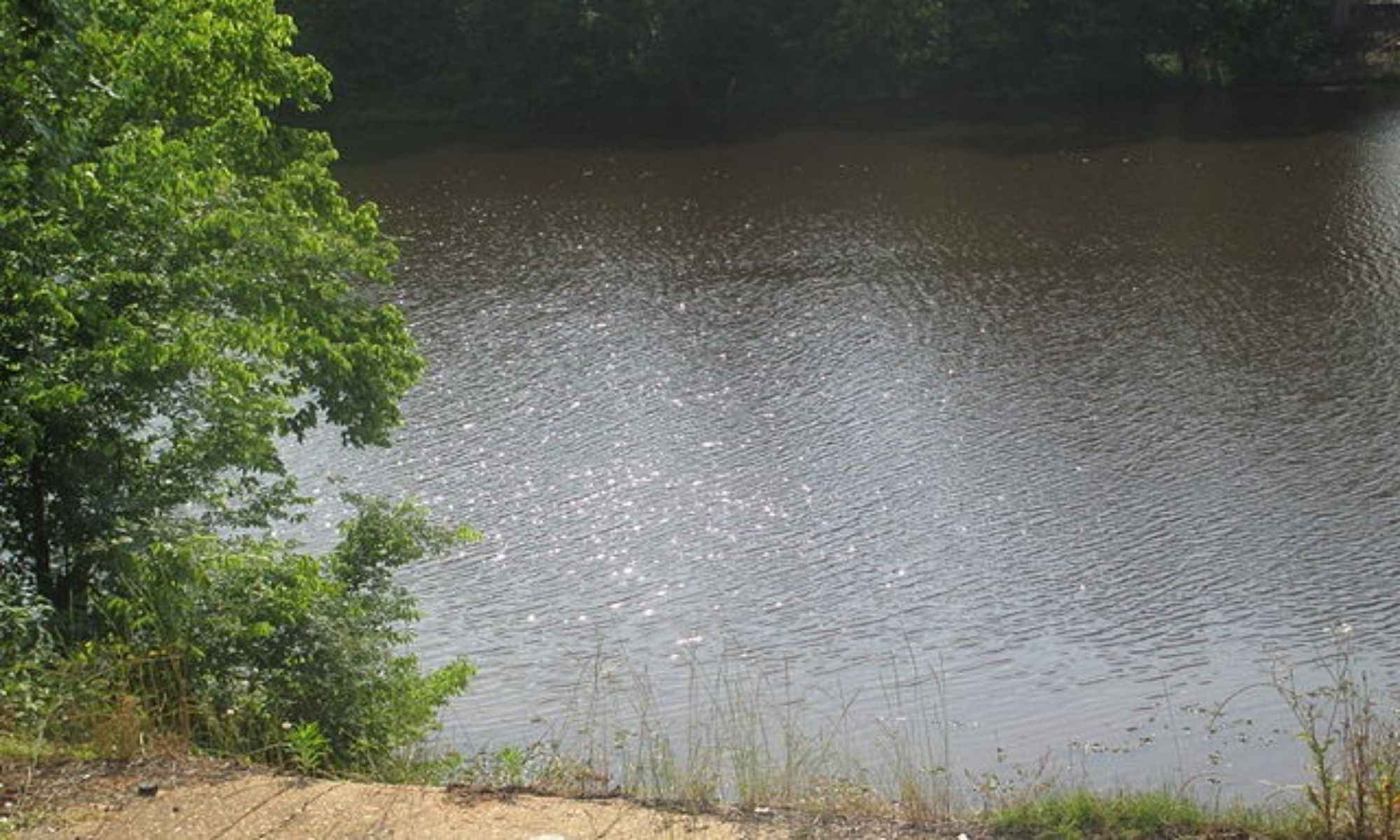 Book Your Fishing Charter in Bienville Parish, LA