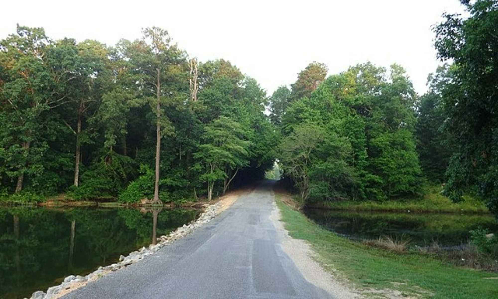 Book Your Fishing Charter in Ariton, AL