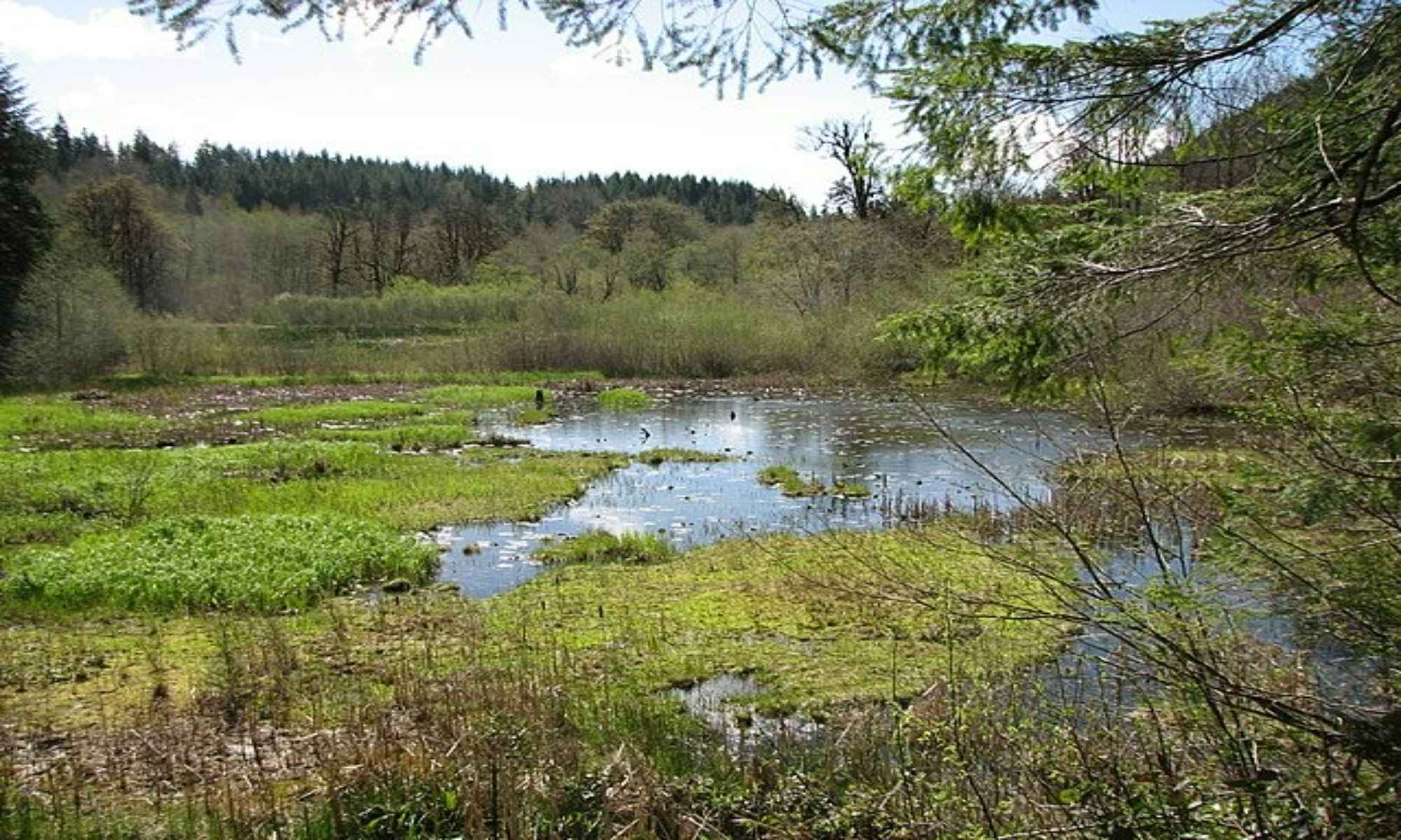 Book a Fishing Charter to Belton, SC