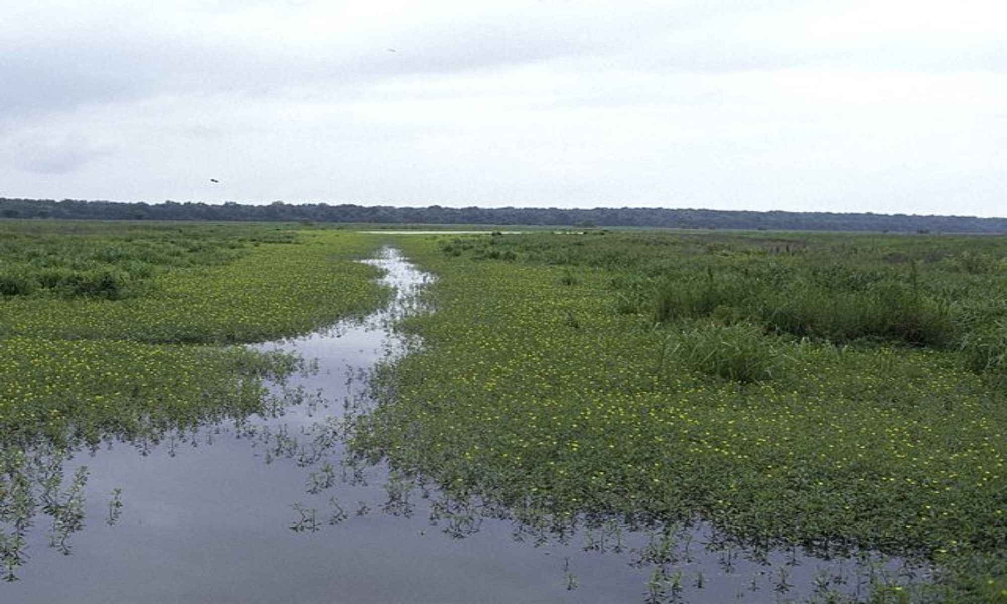 Clayton, LA Fishing: Experience Diversity
