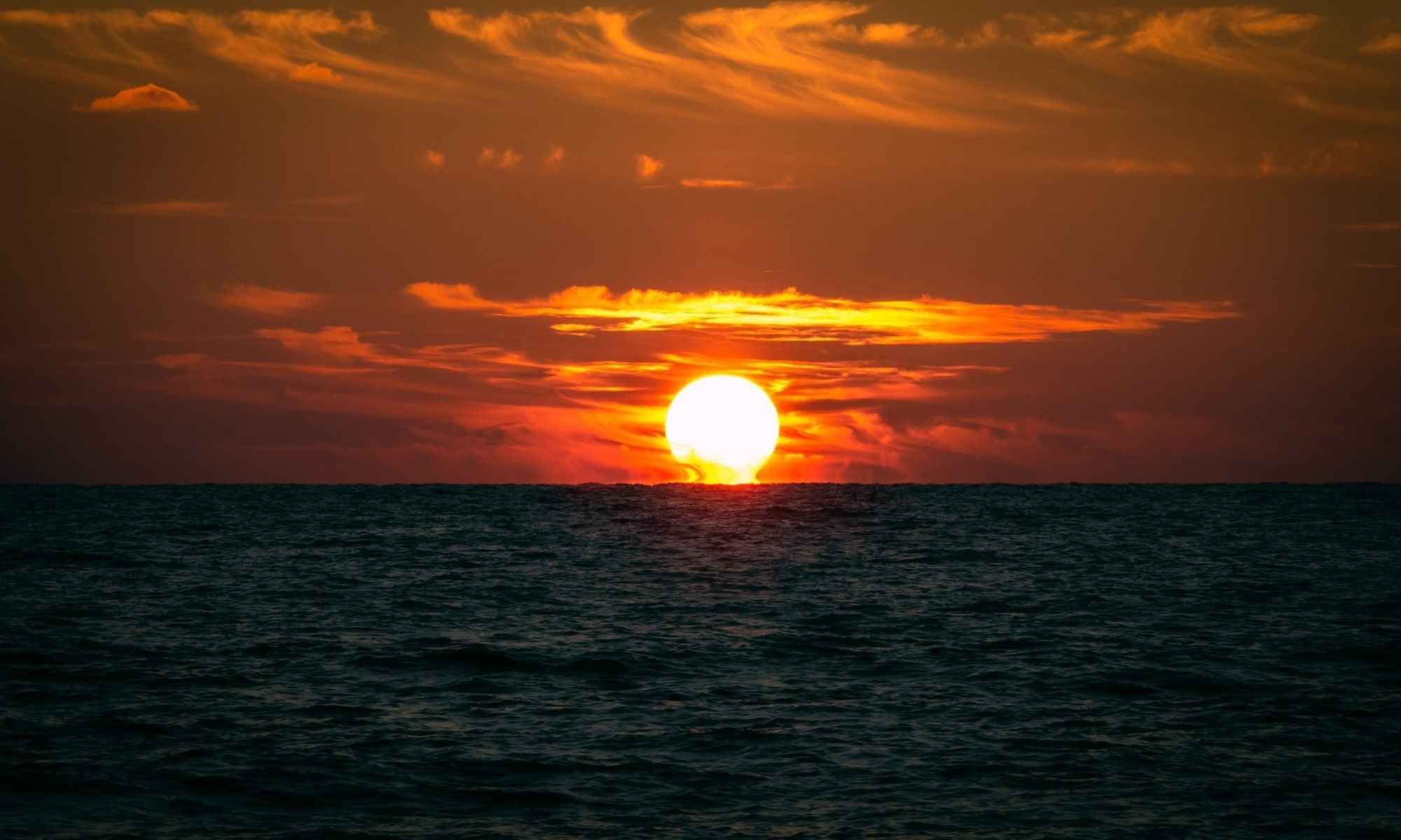 Book Your Fishing Charter in Punta Gorda, FL