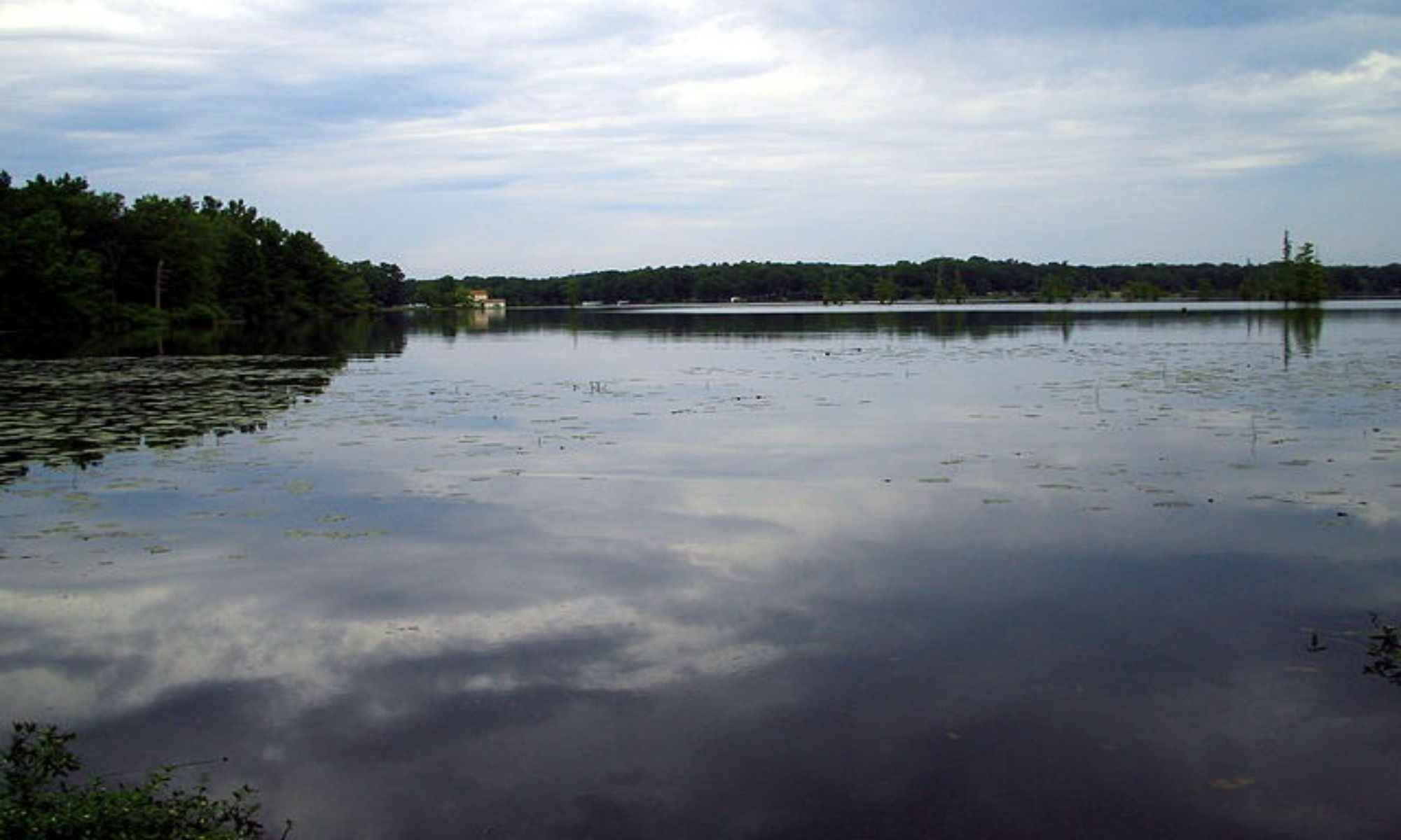 Book Your Fishing Charter in North Little Rock, AR