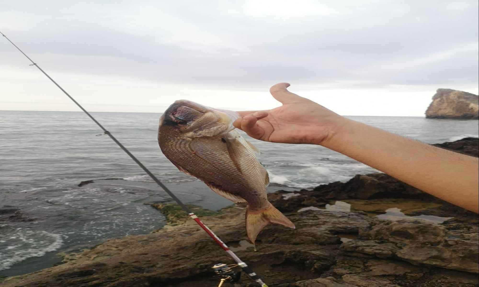Suffolk, NY Fishing: Enjoy Over 1,000 Miles of Coastline Fishing