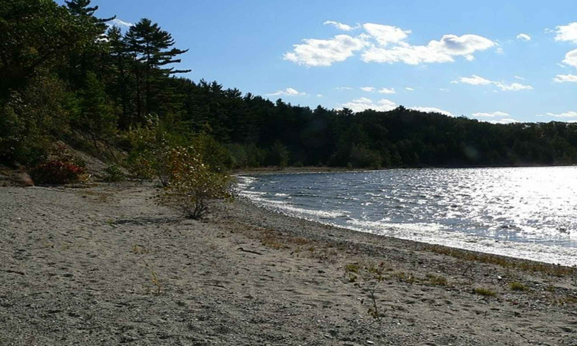 Book Your Fishing Charter in Petersham, MA