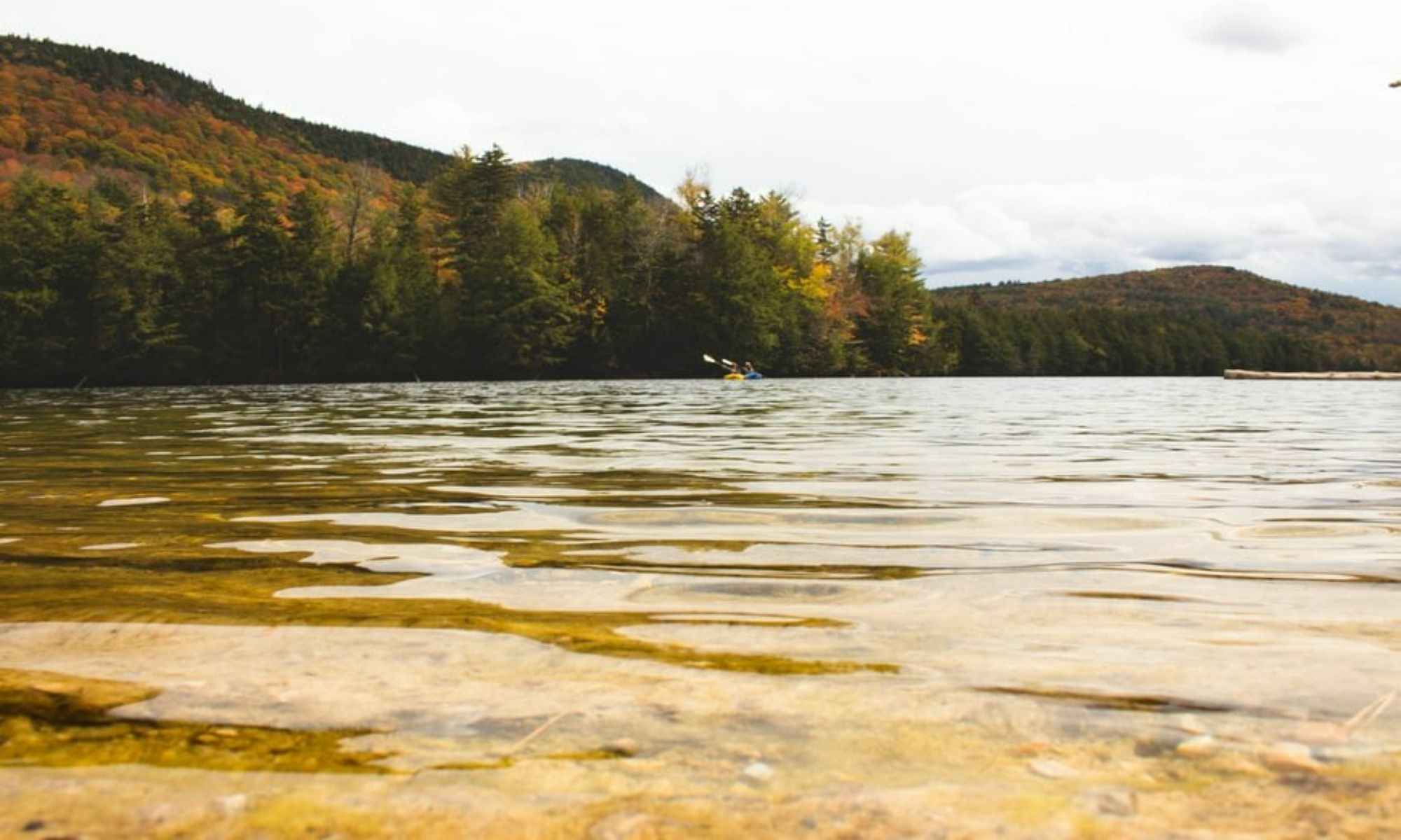 Book Your Fishing Charter in Ludlow, MA