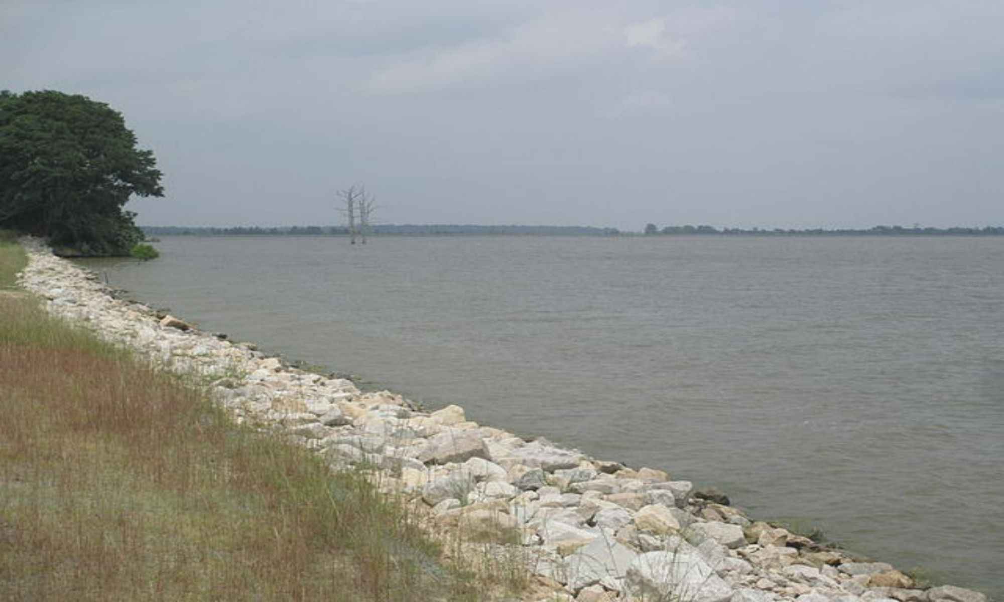 Book Your Fishing Charter in Bastrop, LA