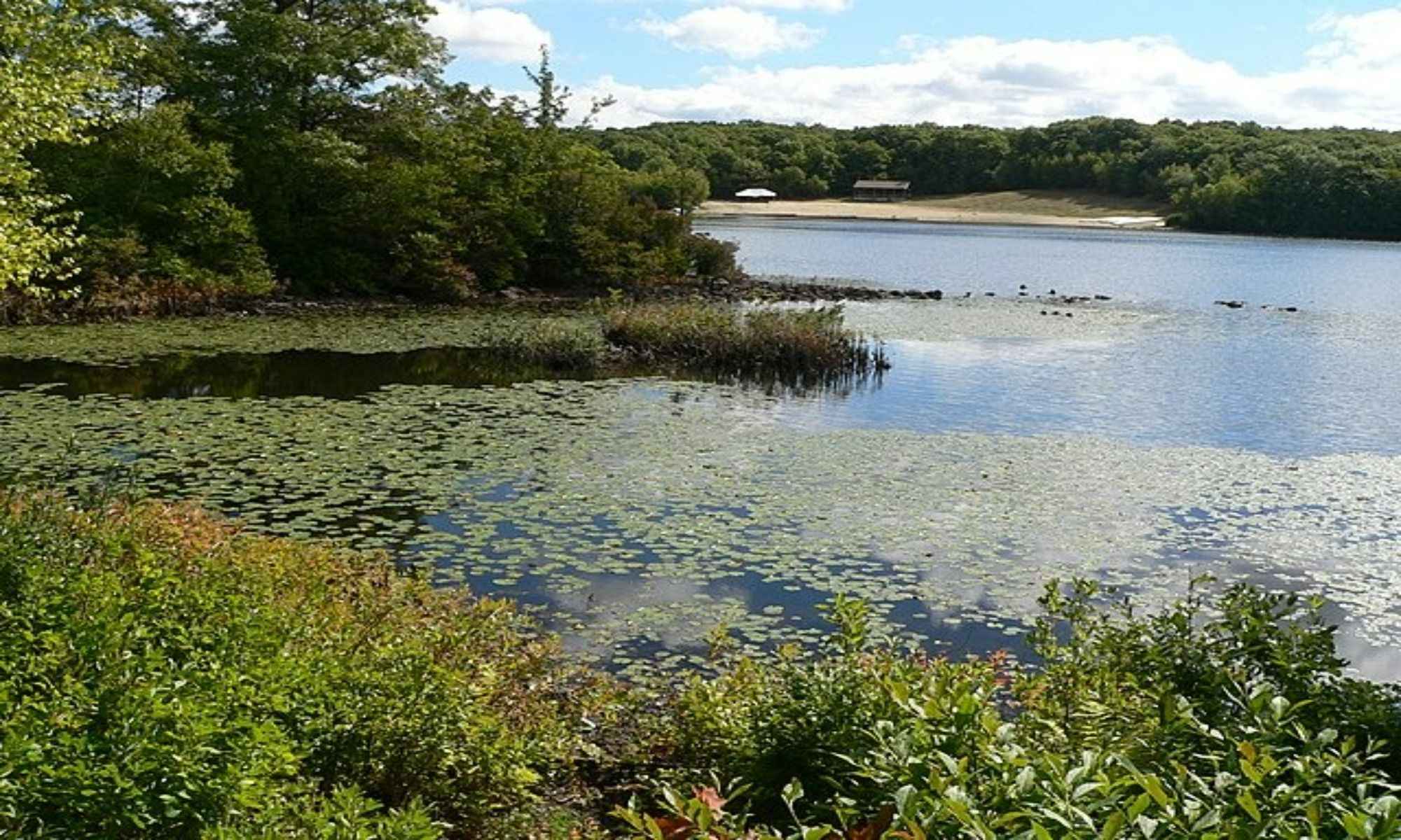 Book Your Fishing Charter in Waltham, MA