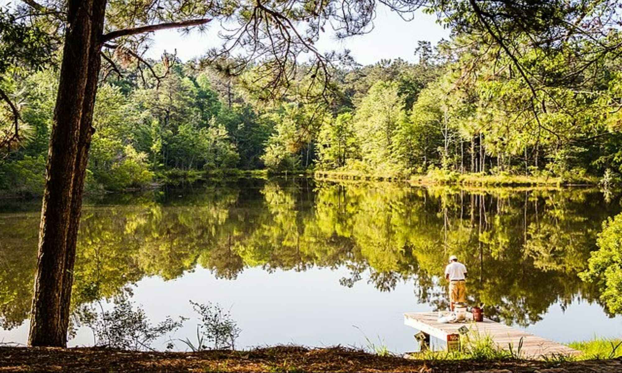 Where do Fish Go in the Summertime?