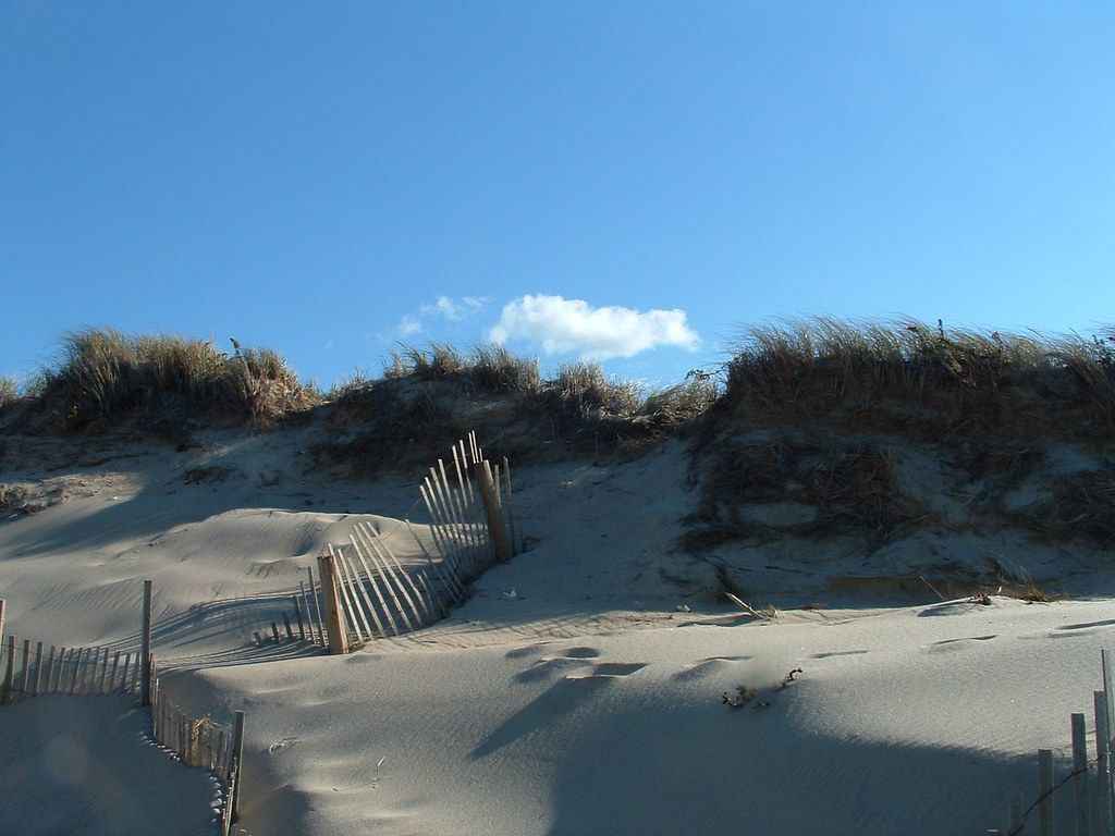 Book Your Fishing trip in Wellfleet, MA