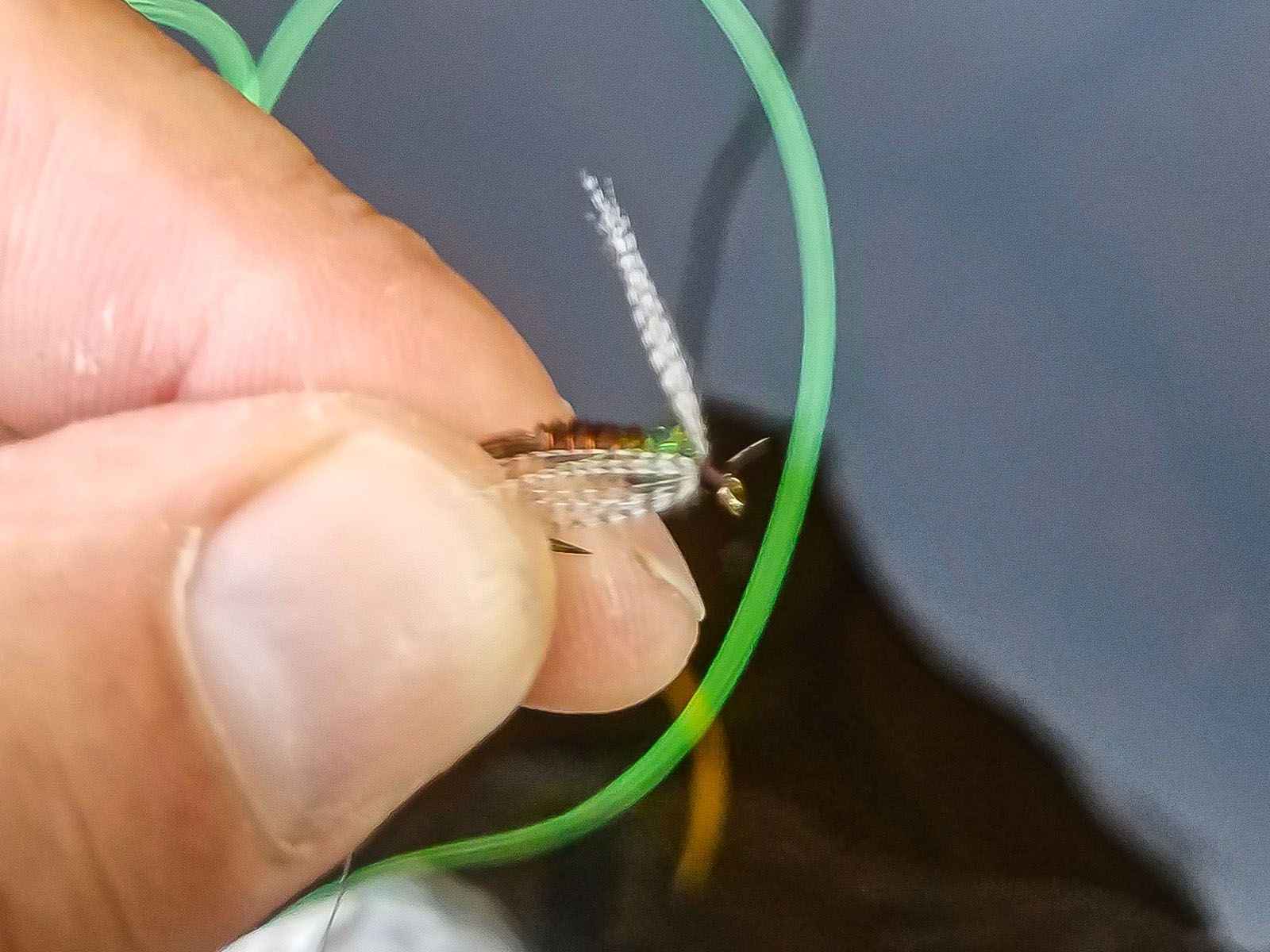 Nymphing, Basic Techniques of Nymphing