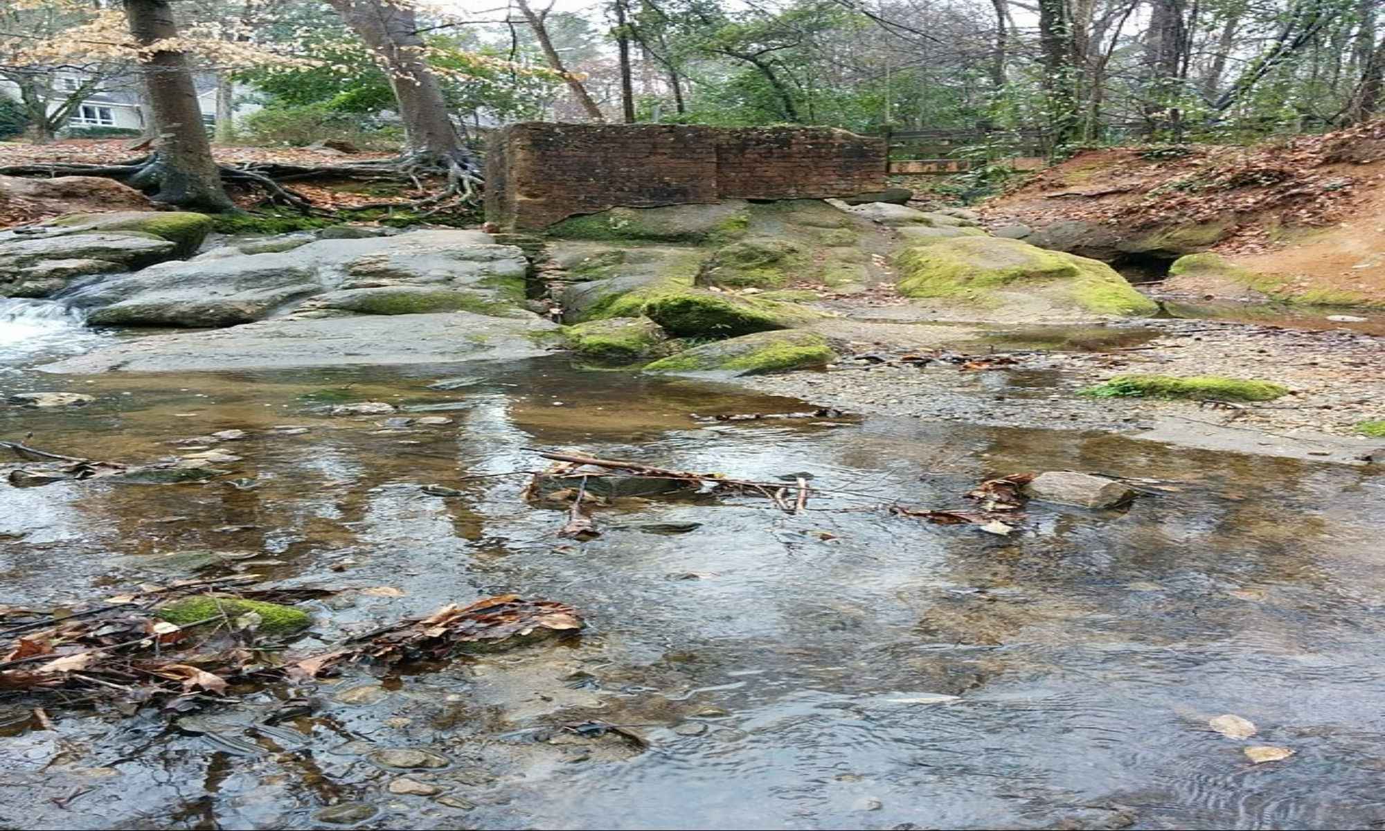 Gastonia, NC Fishing: A Great Place for Great Fishing