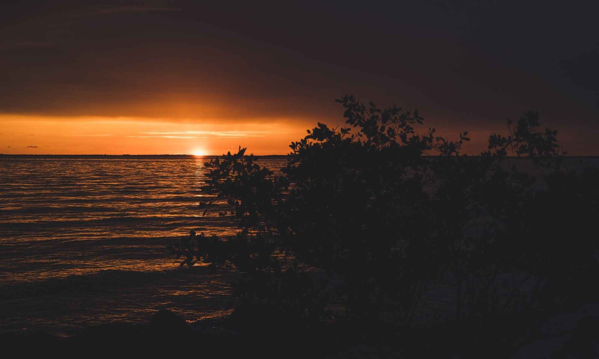 Punta Gorda, FL Fishing: Where World-Class Allure Meets Hometown Pleasure