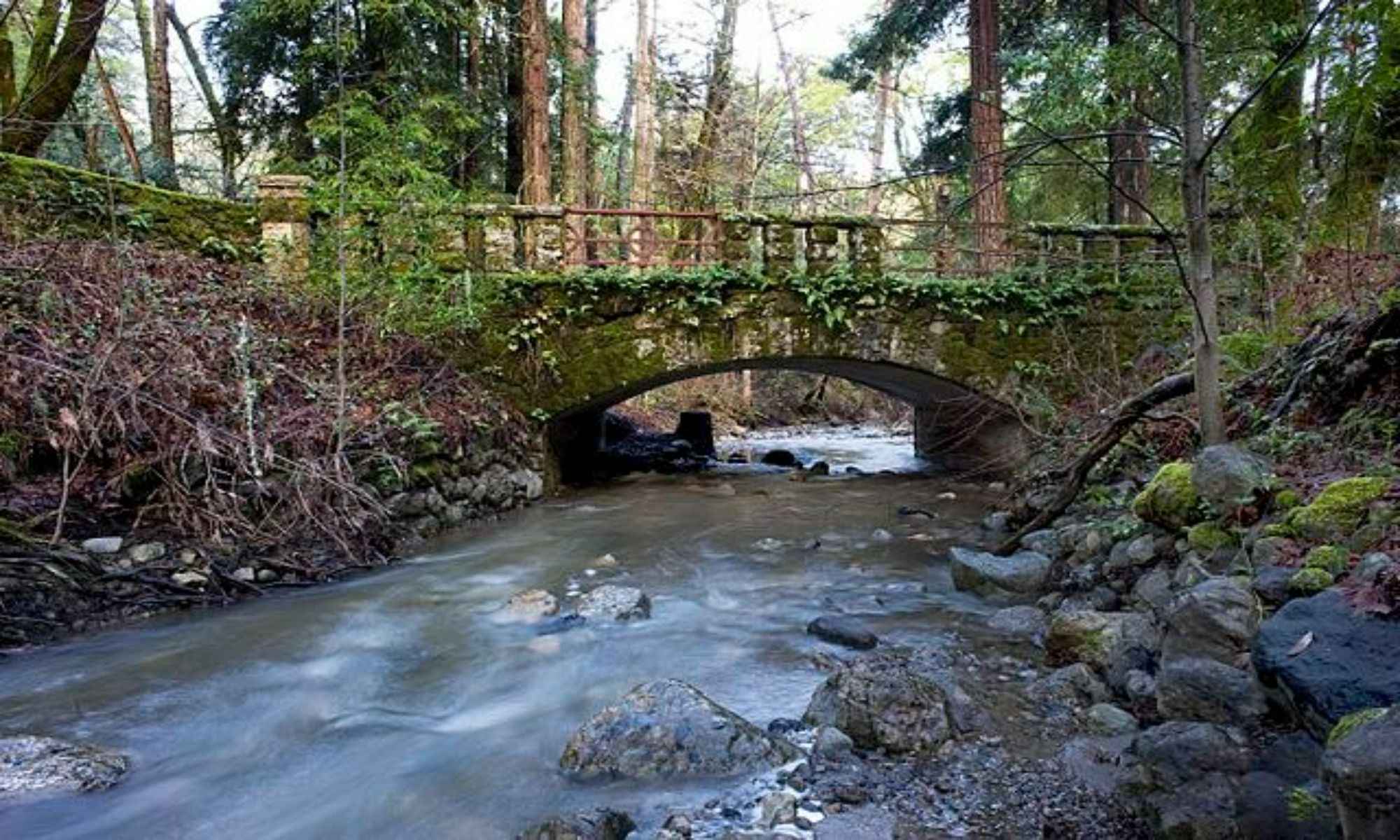 Book a Fishing Charter to Blackville, SC