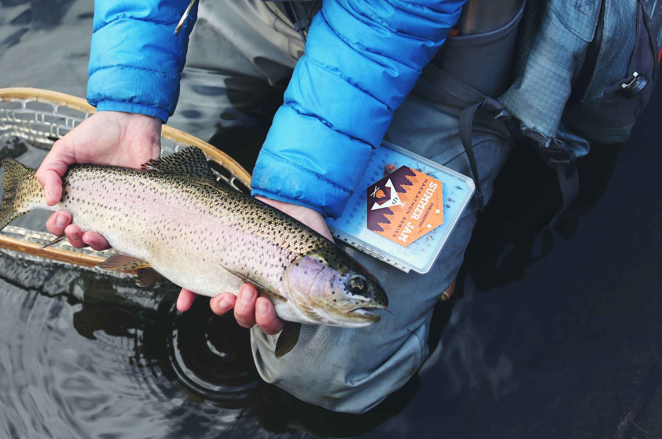Big 10 Trout of North America