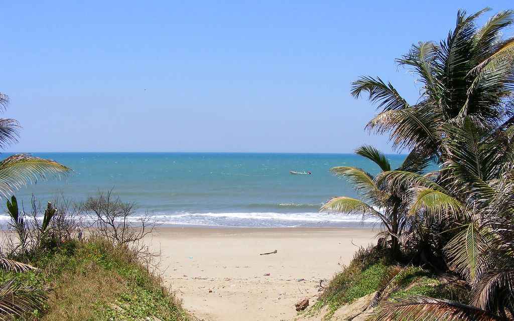 Book Your Fishing Charter in Arroyo City, TX