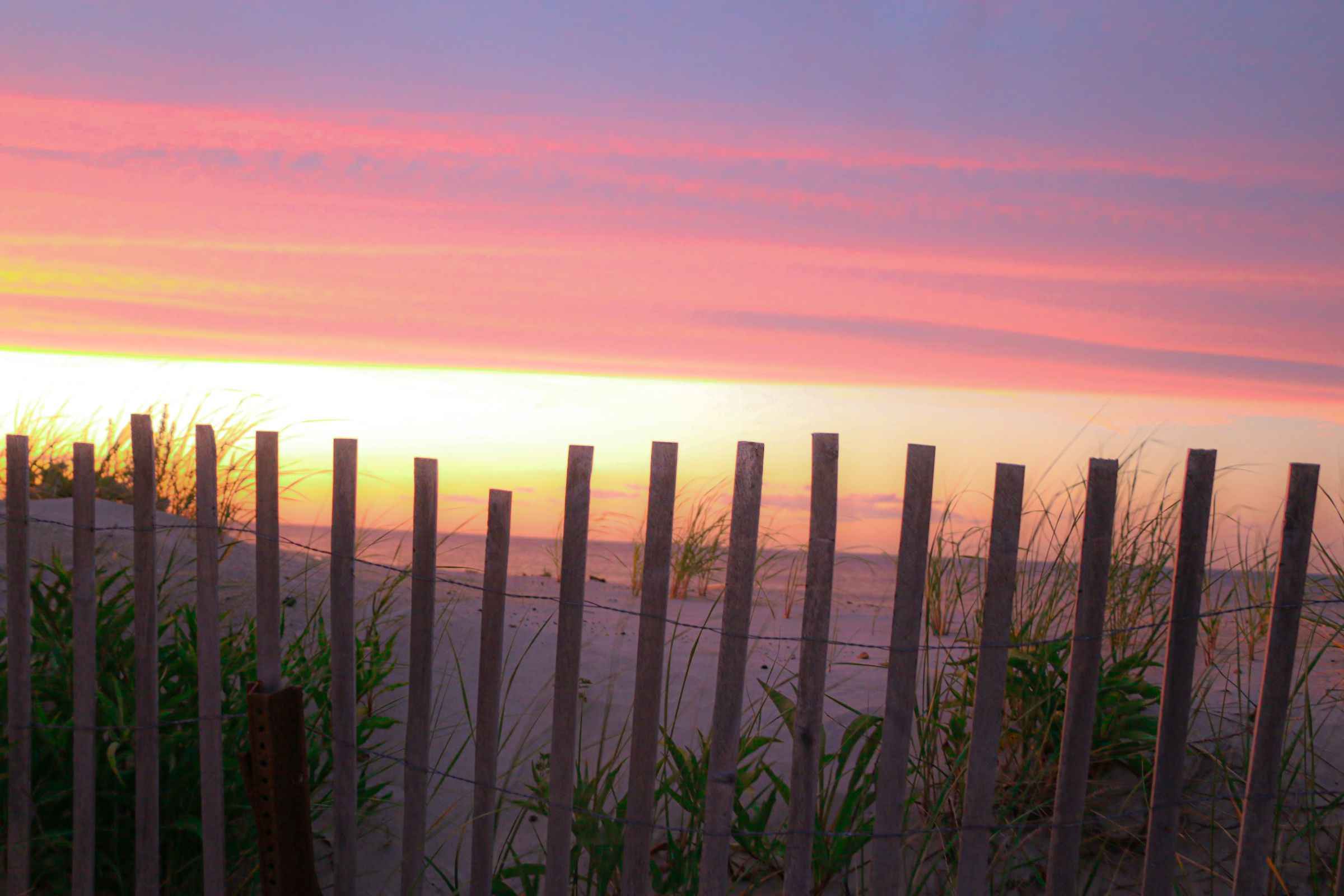 Book Your Fishing Charter in Cape Cod, MA