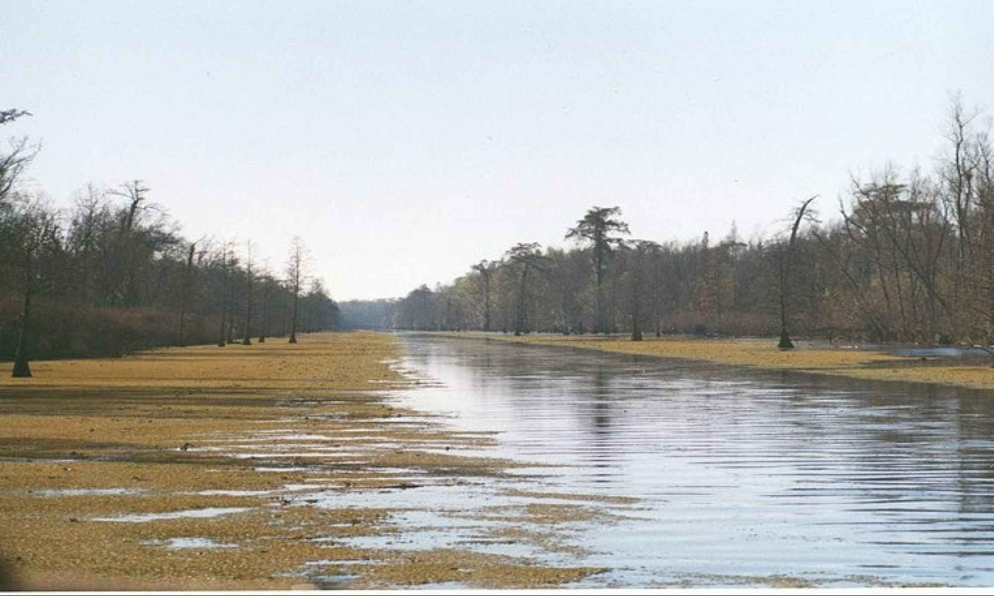 Book Your Fishing Charter in Buras, LA