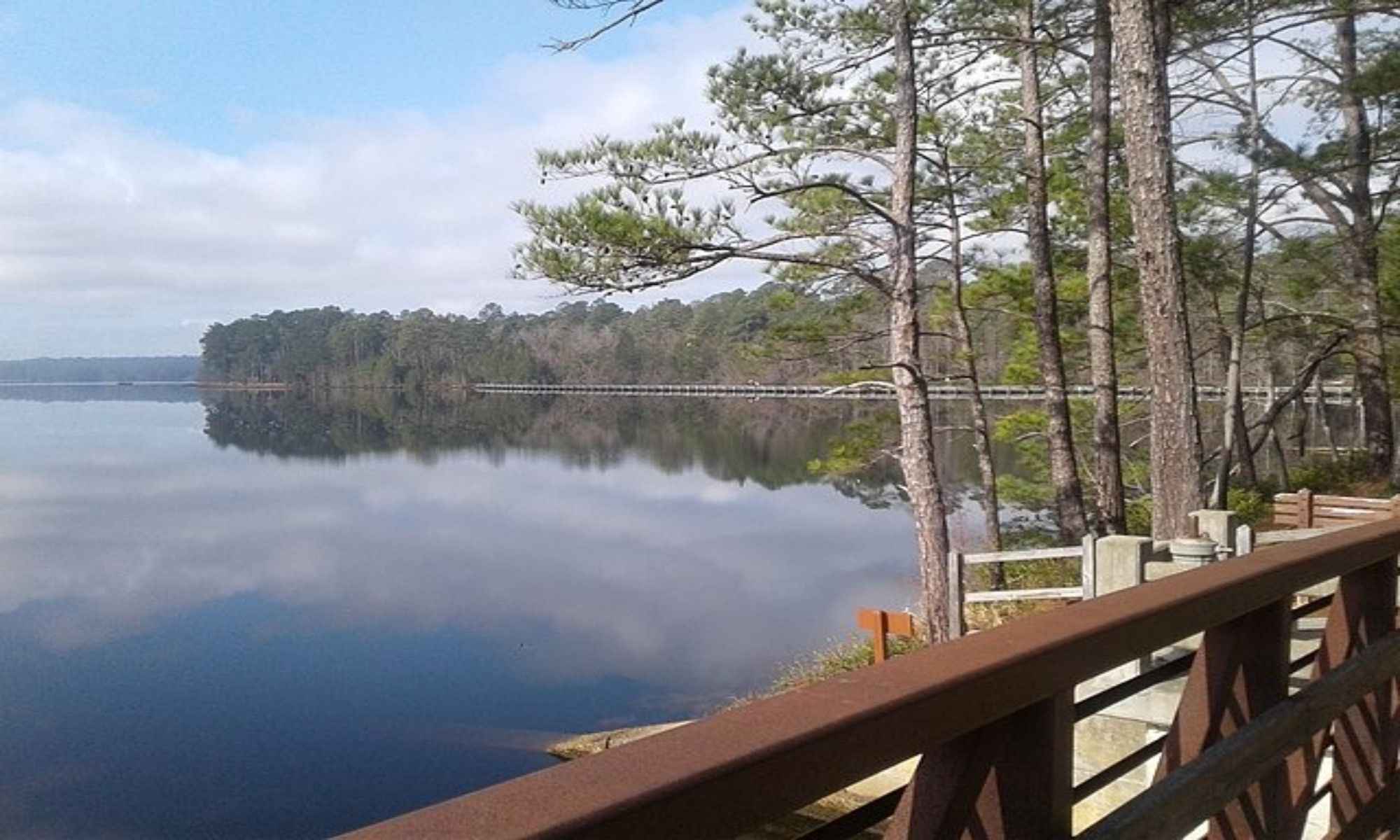 Book Your Fishing Charter in Cheraw, SC