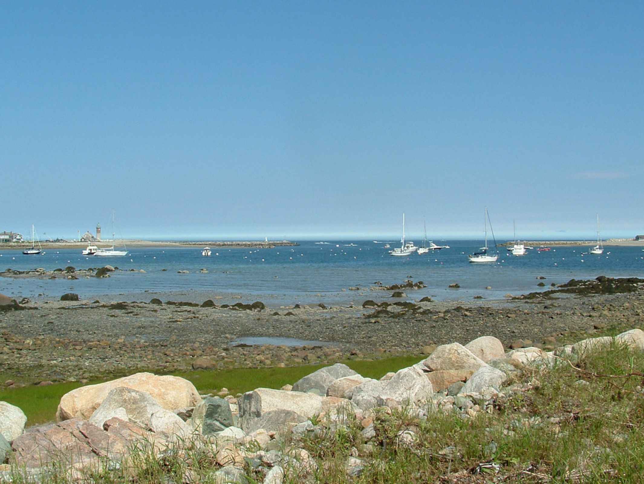 Book Your Fishing Charter in Scituate, MA