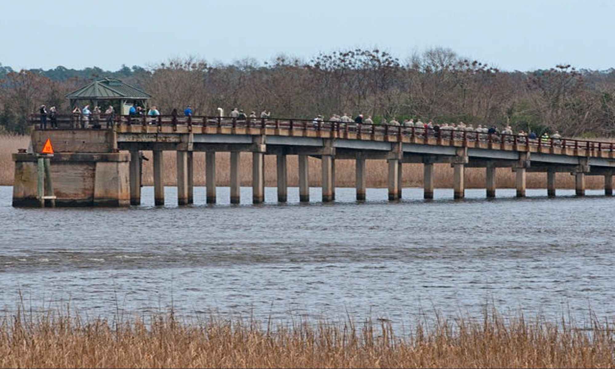 Cheraw, SC Fishing: Angling in the Prettiest Town in Dixie