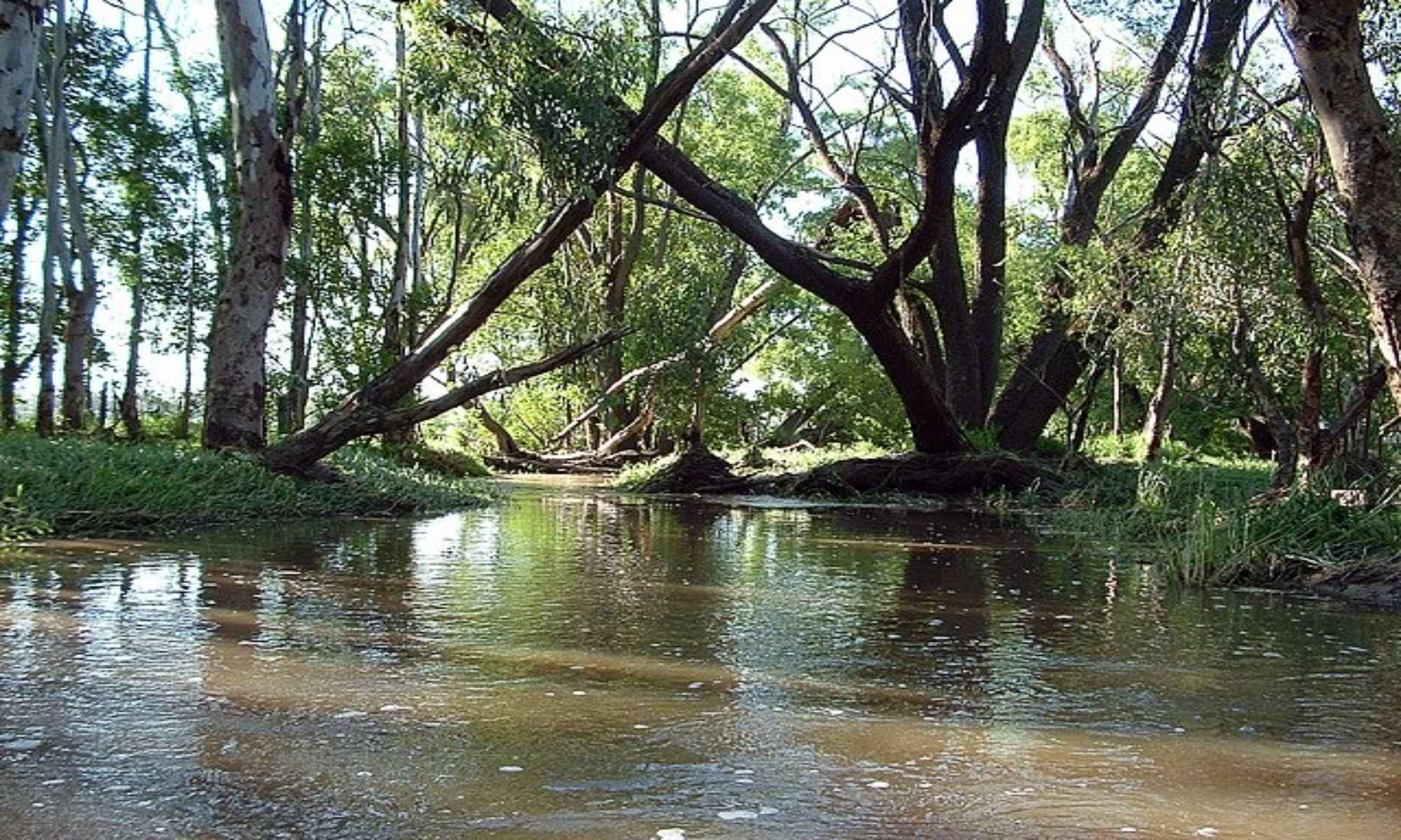 Chataignier, LA Fishing: Easy Access to the Cajun Country’s Fishing Spots