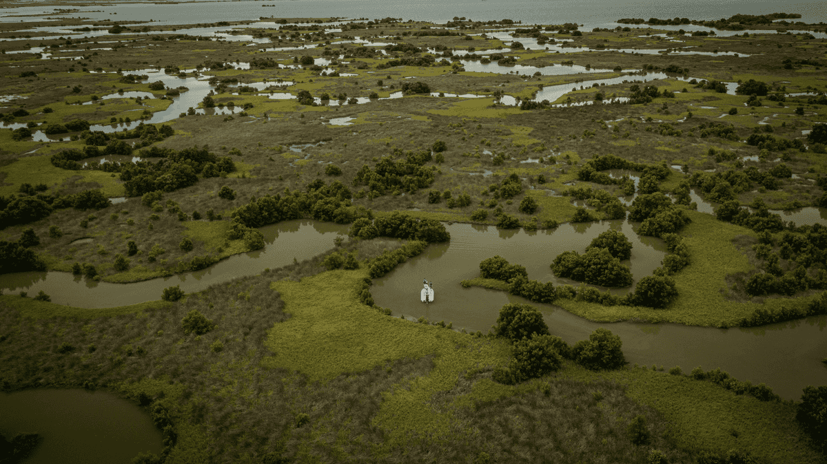 Guide Q&A- Why Guide Here