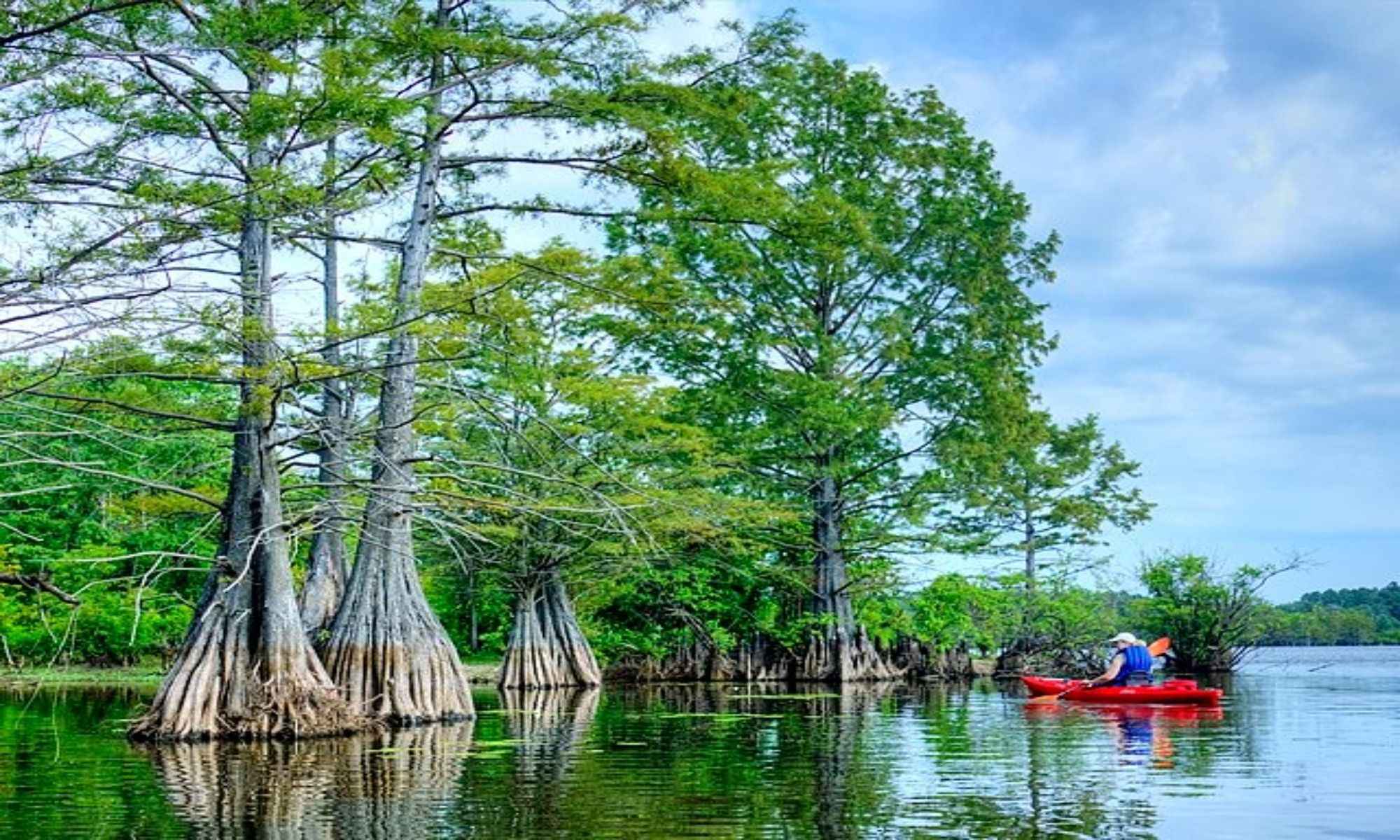 Offshore Fishing in Louisiana