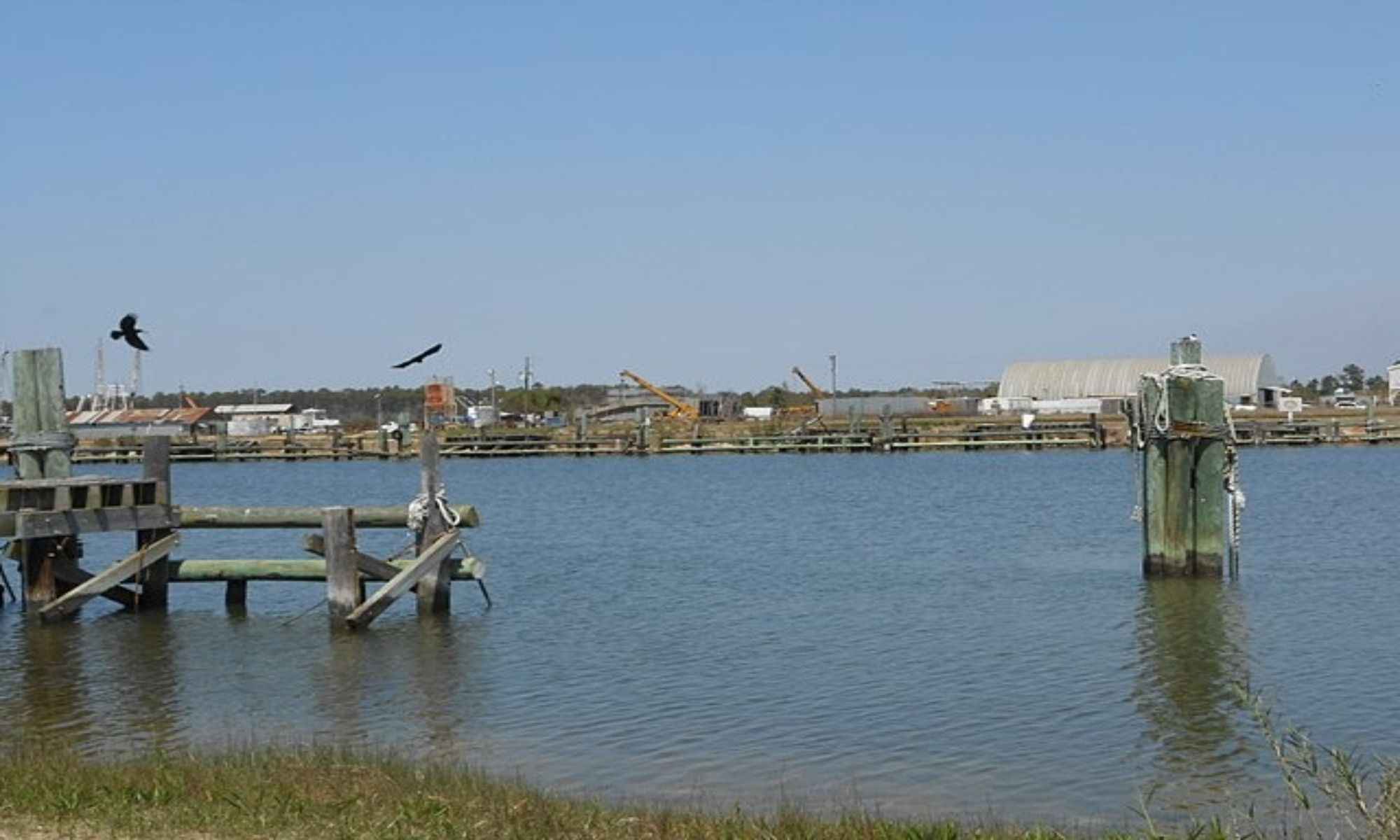 Bayou La Batre, AL Fishing: Great Fishing Adventure in the Bayou