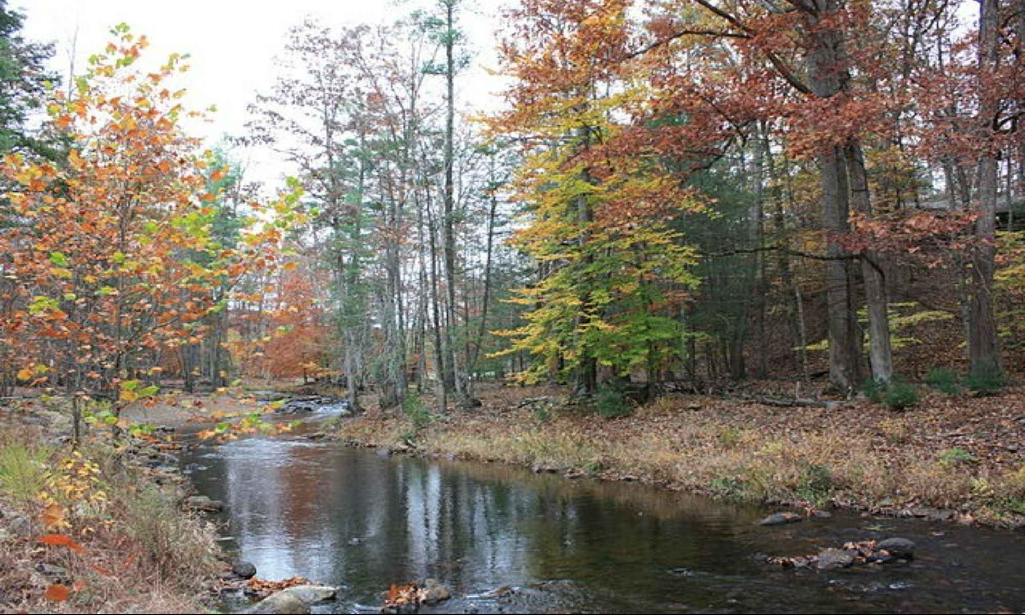 Chapel Hill, NC Fishing: Experience Exceptional Small-town Angling