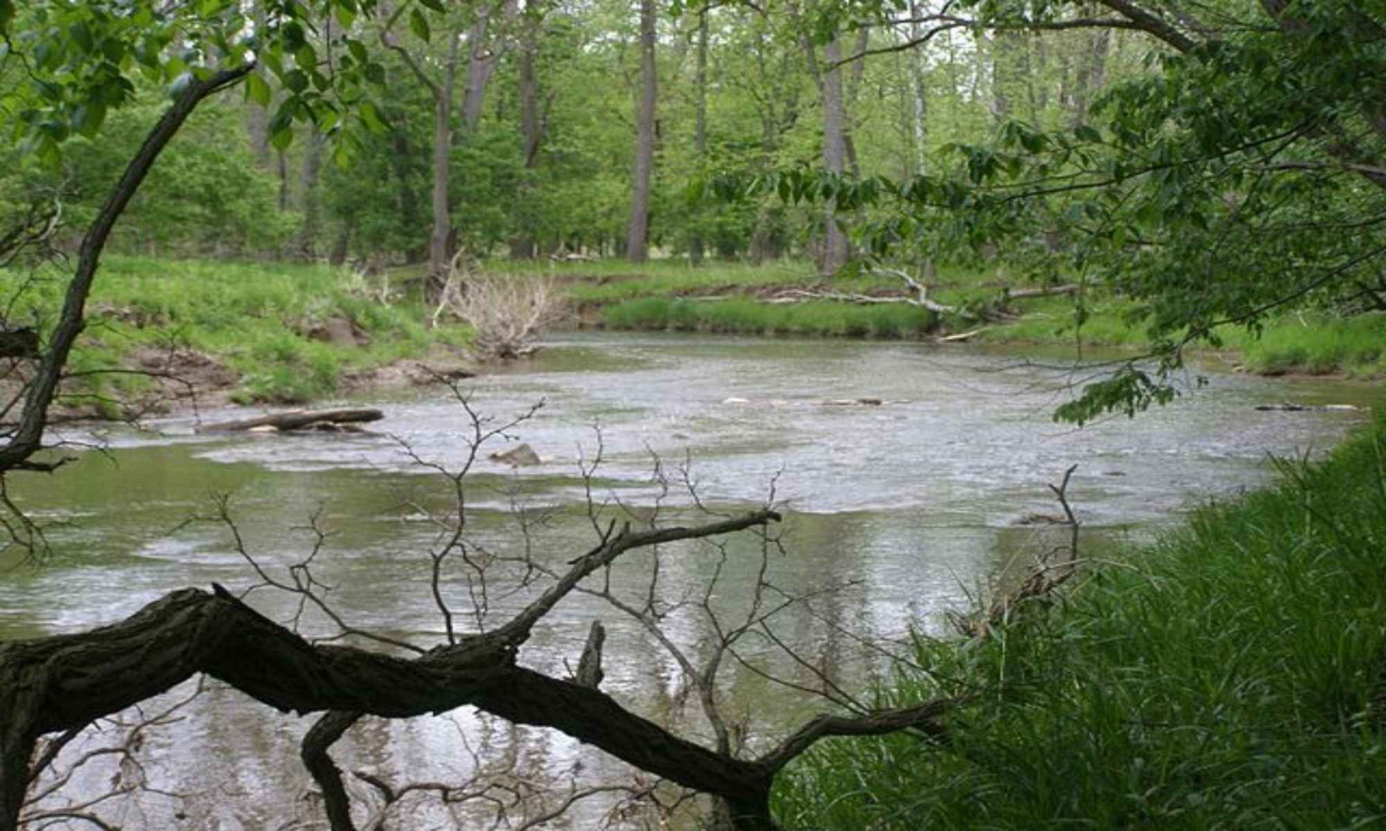 Book Your Fishing Charter in Chesnee, SC